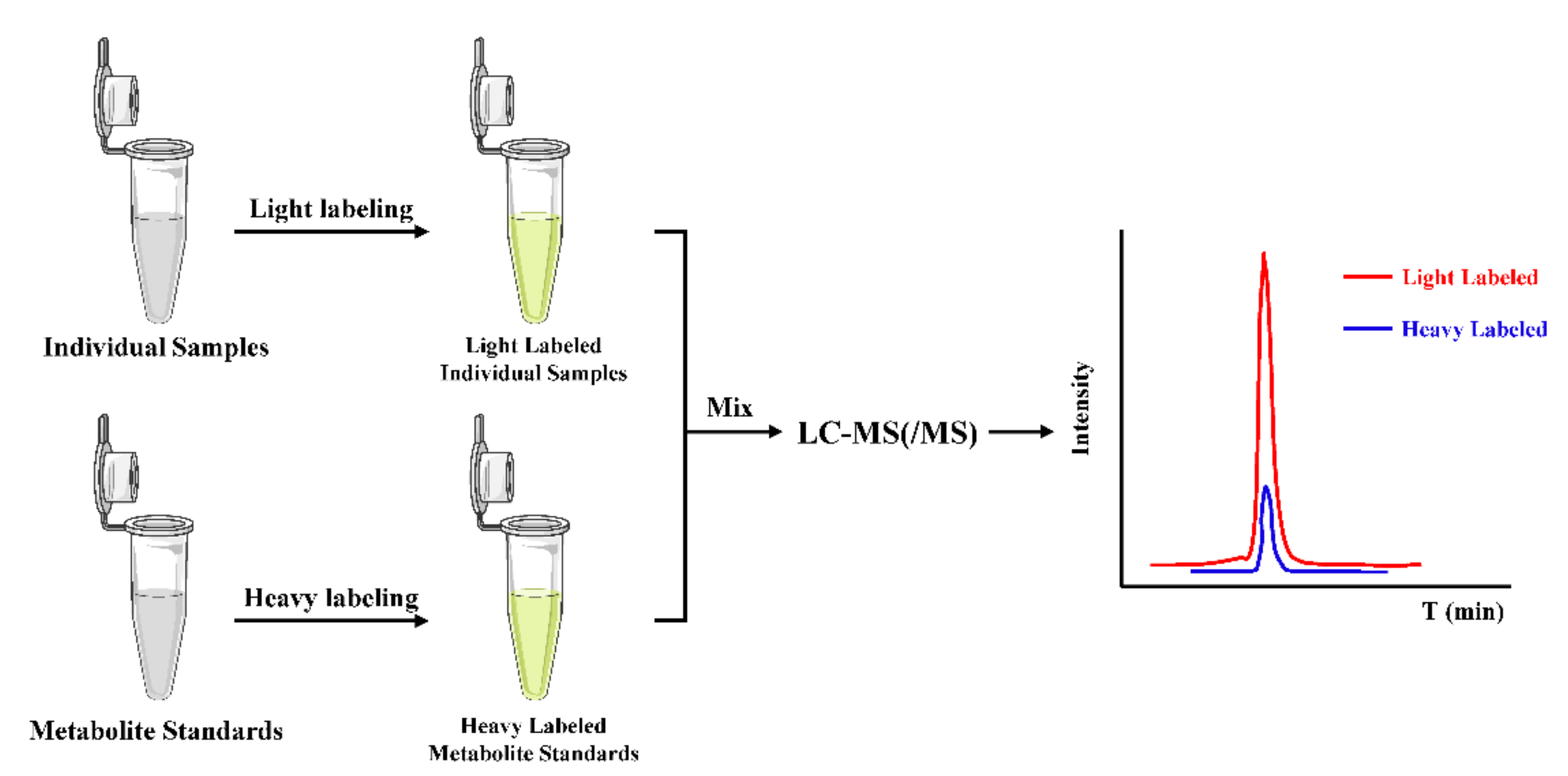 Molecules 26 06147 g005