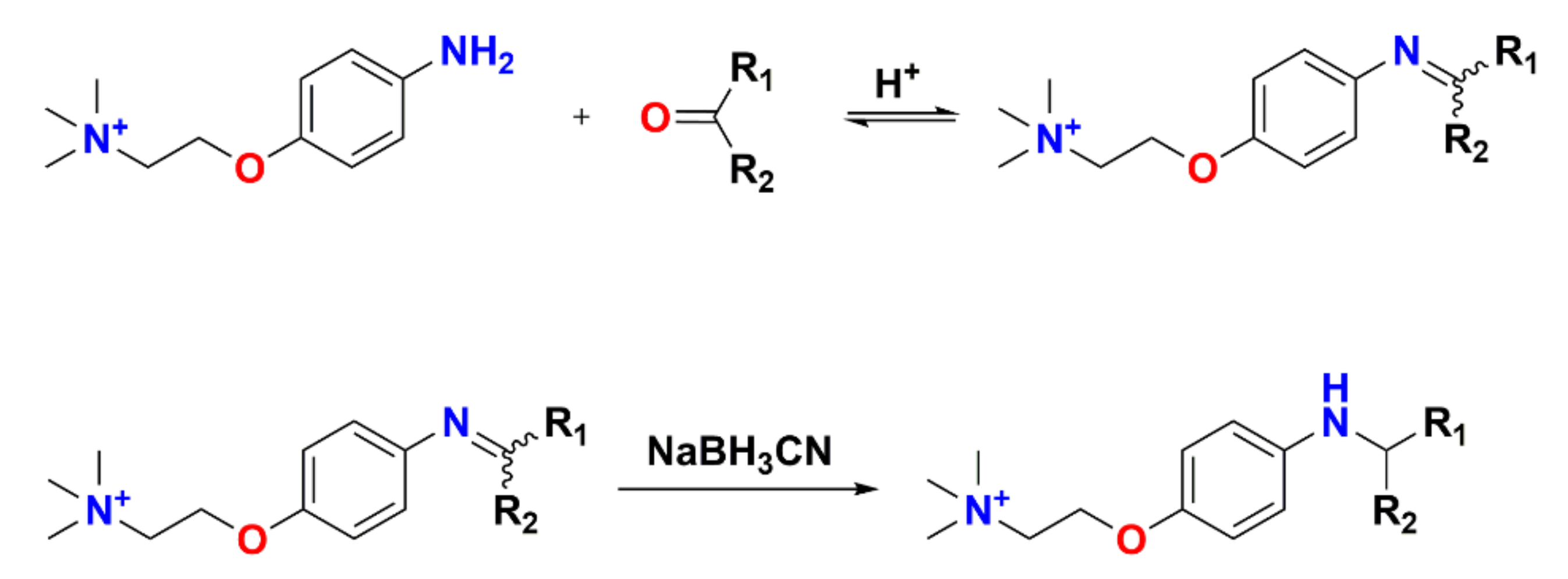 Molecules 26 06147 sch002