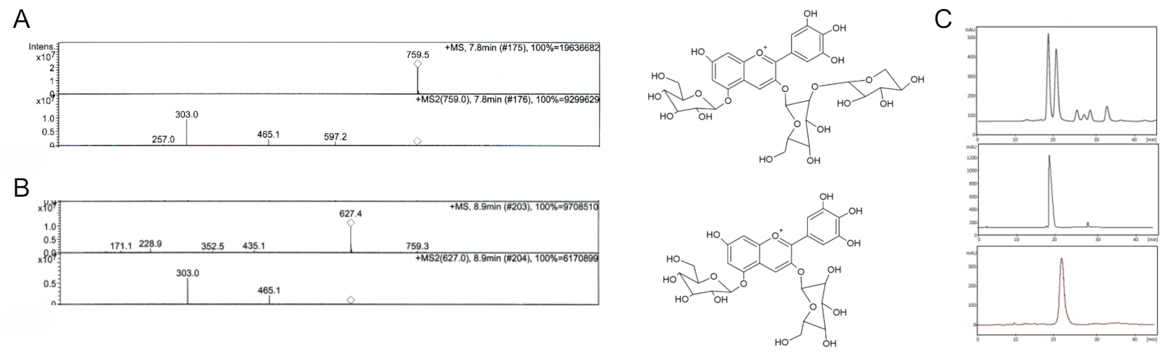 Molecules 26 06149 g001 Molecules 26 06149 g001