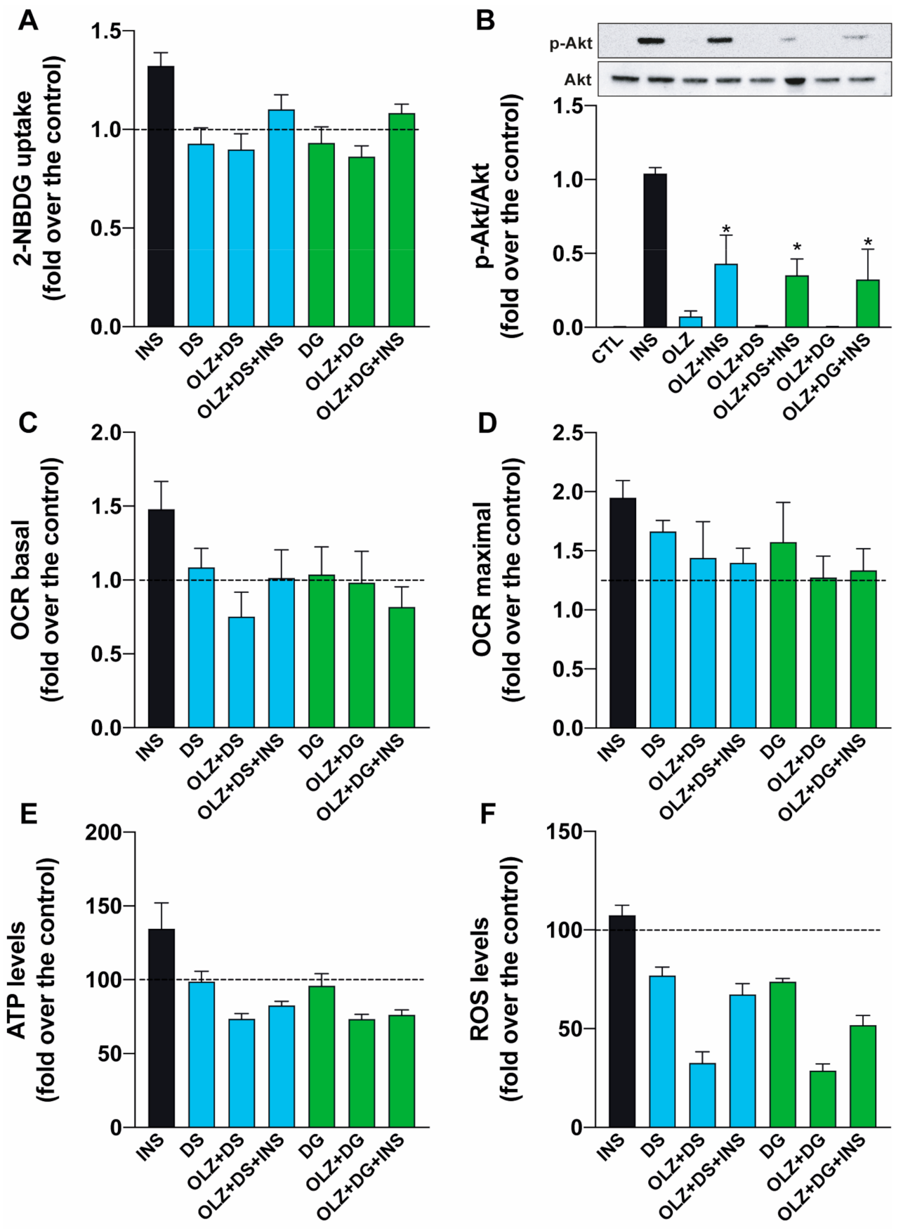 Molecules 26 06149 g005 Molecules 26 06149 g005