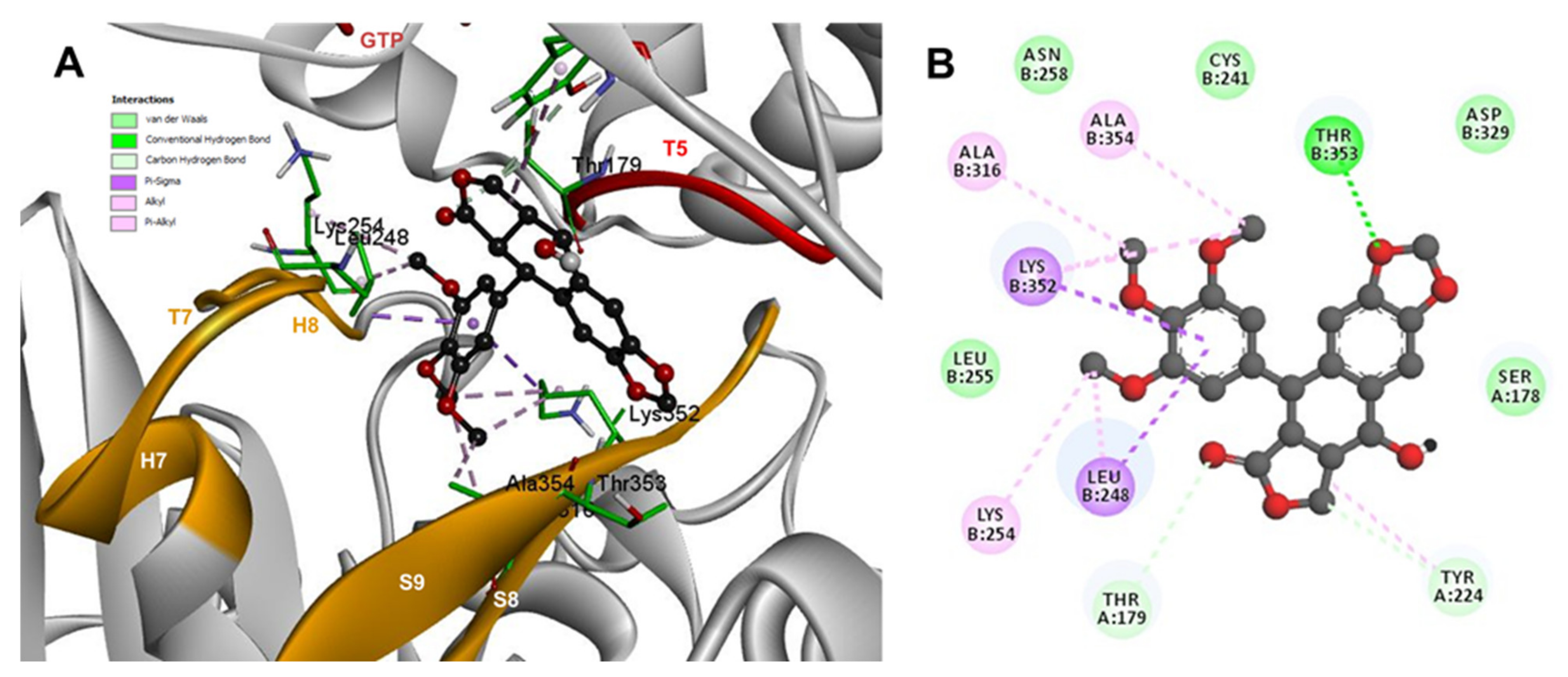 Molecules 26 06155 g008