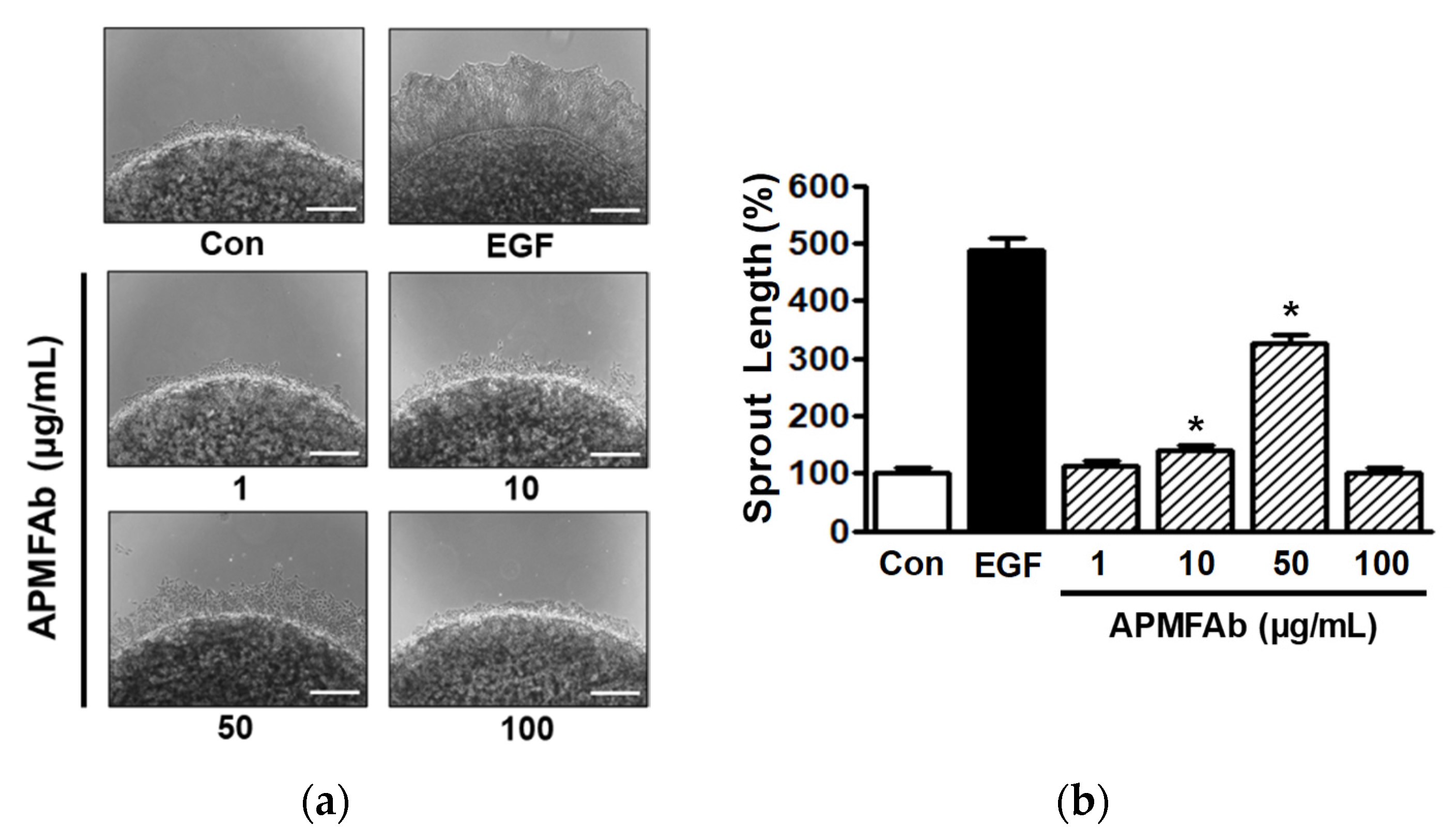 Molecules 26 06172 g002