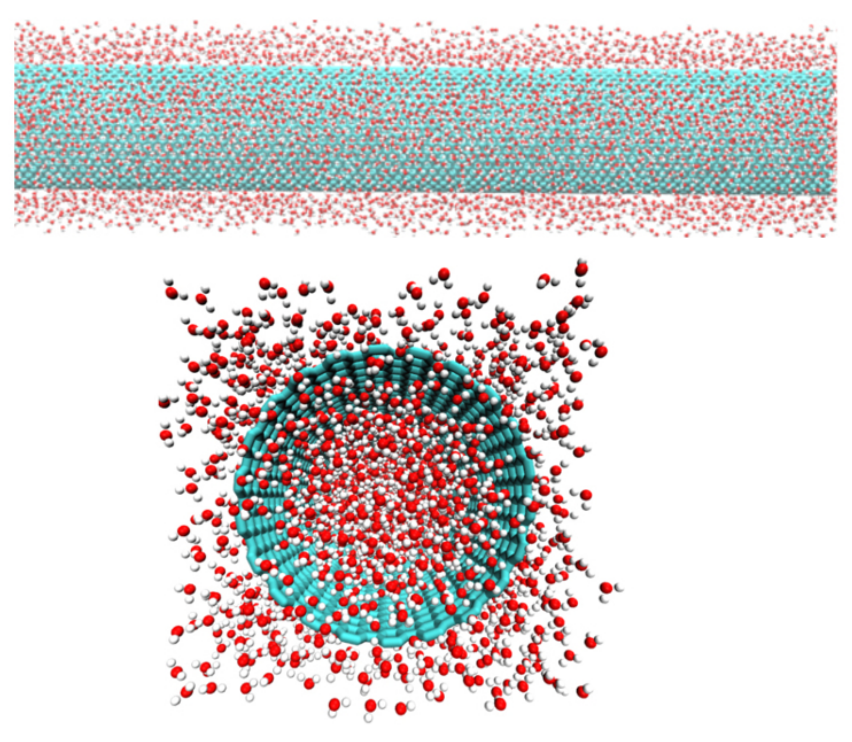Molecules 26 06175 g001