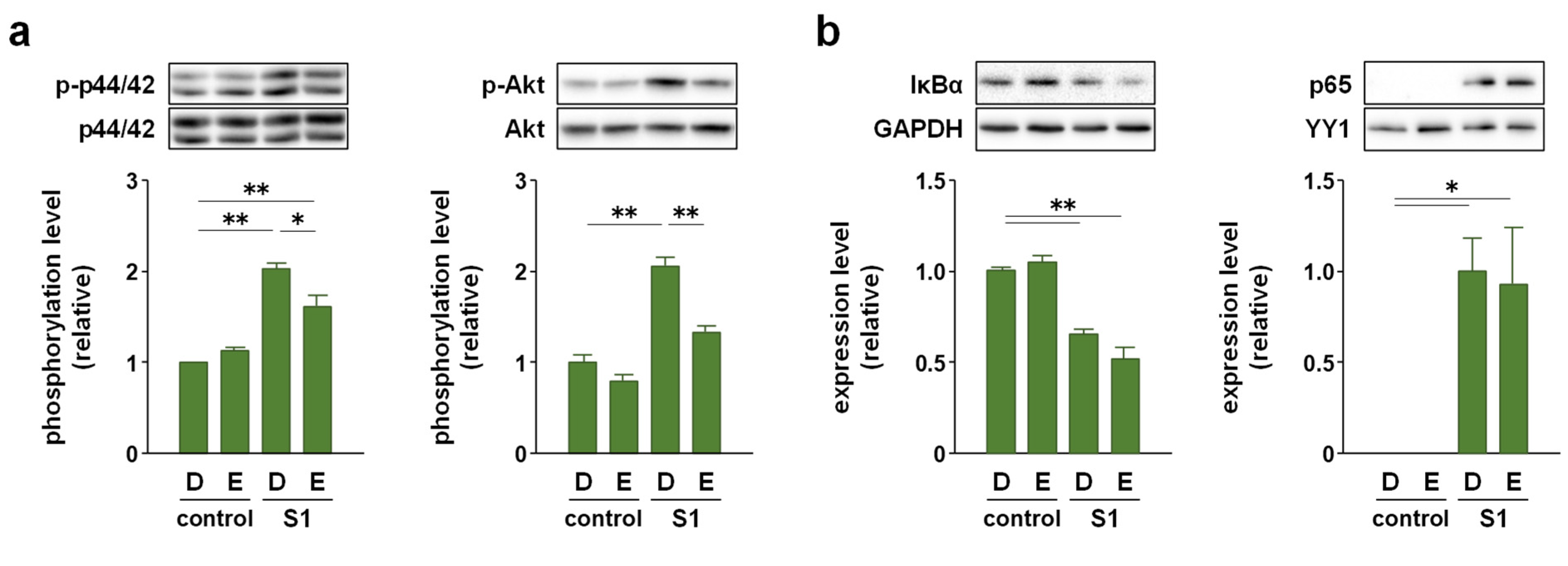 Molecules 26 06189 g004