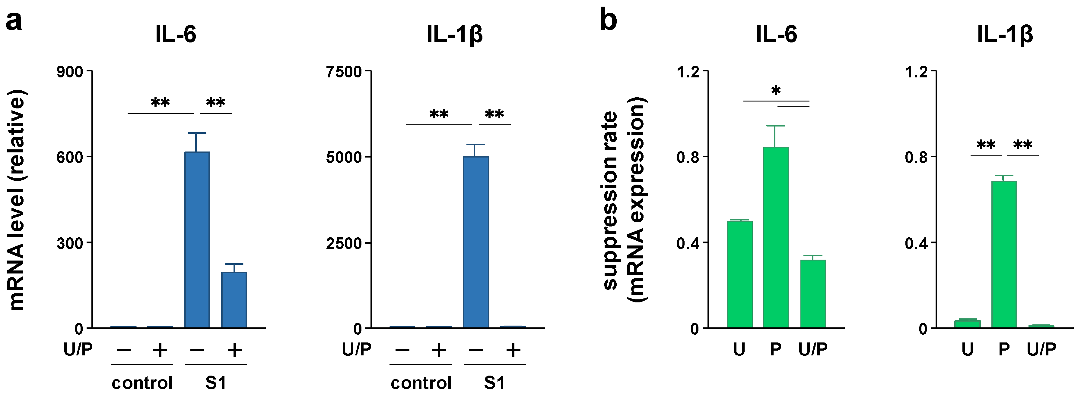 Molecules 26 06189 g007