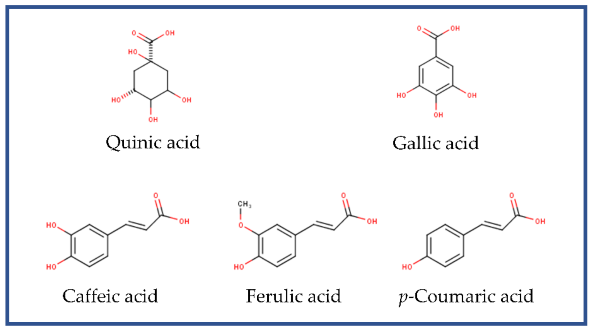 Molecules 26 06195 g004