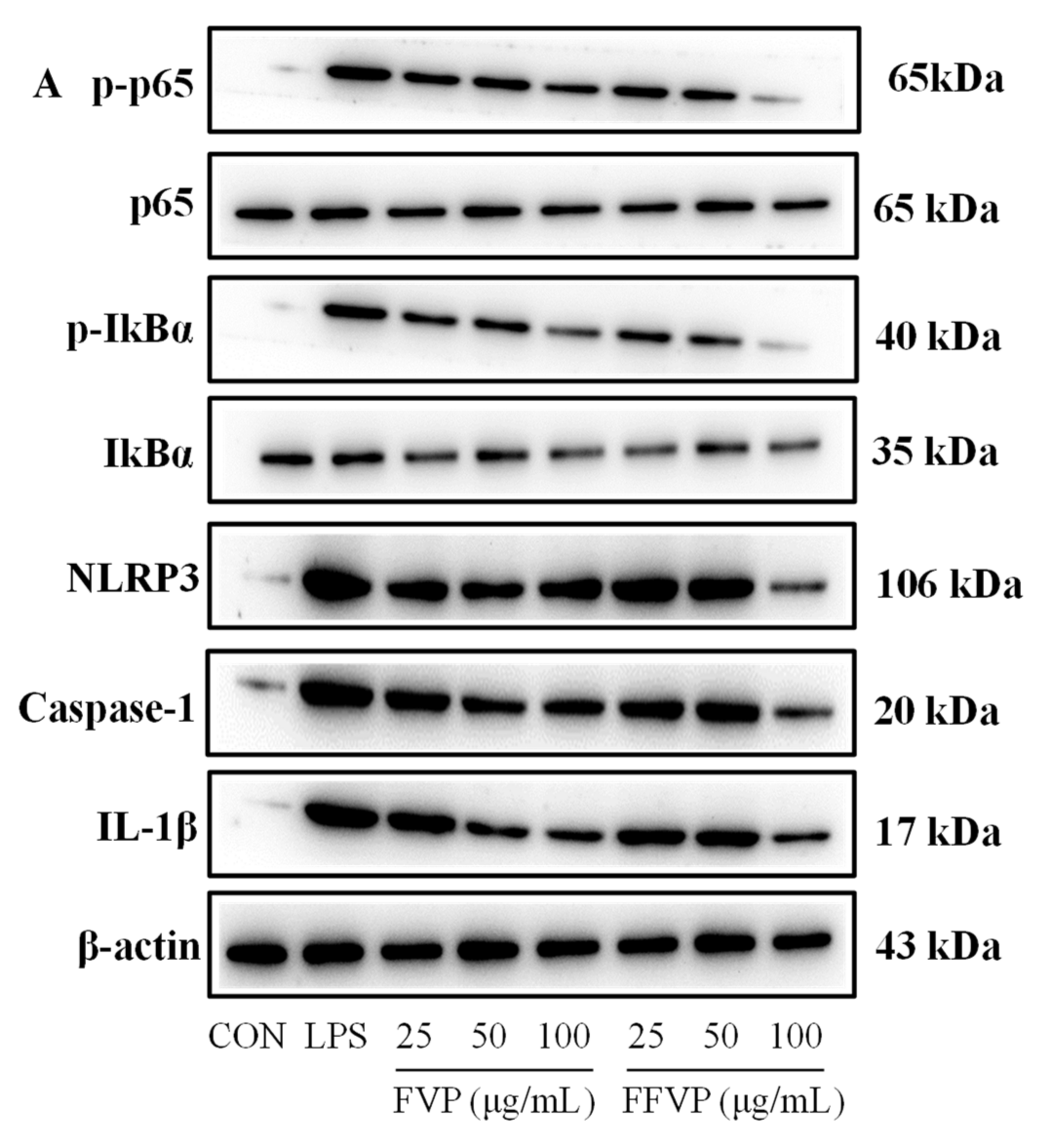 Molecules 26 06205 g010a Molecules 26 06205 g010a