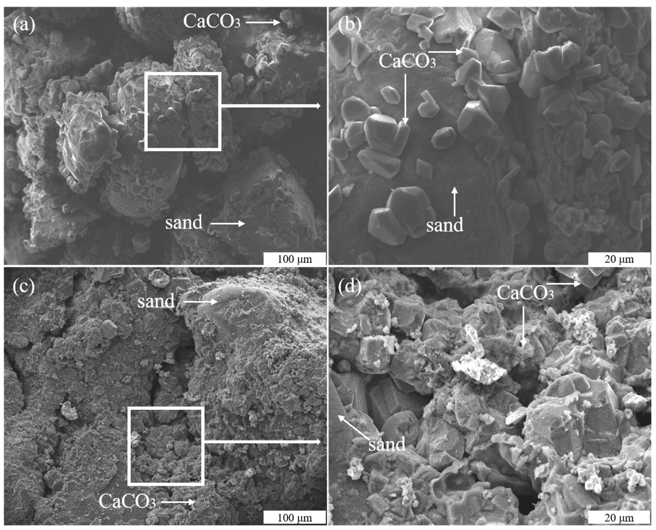 Molecules 26 06211 g010