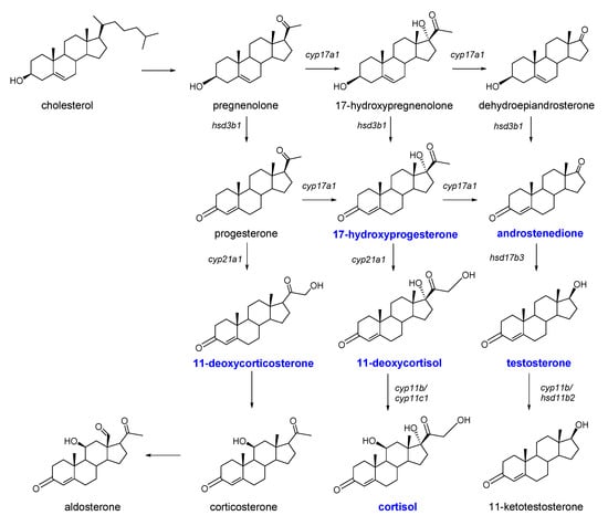 Molecules | Free Full-Text | UPLC–TOF–MS Method for Simultaneous ...