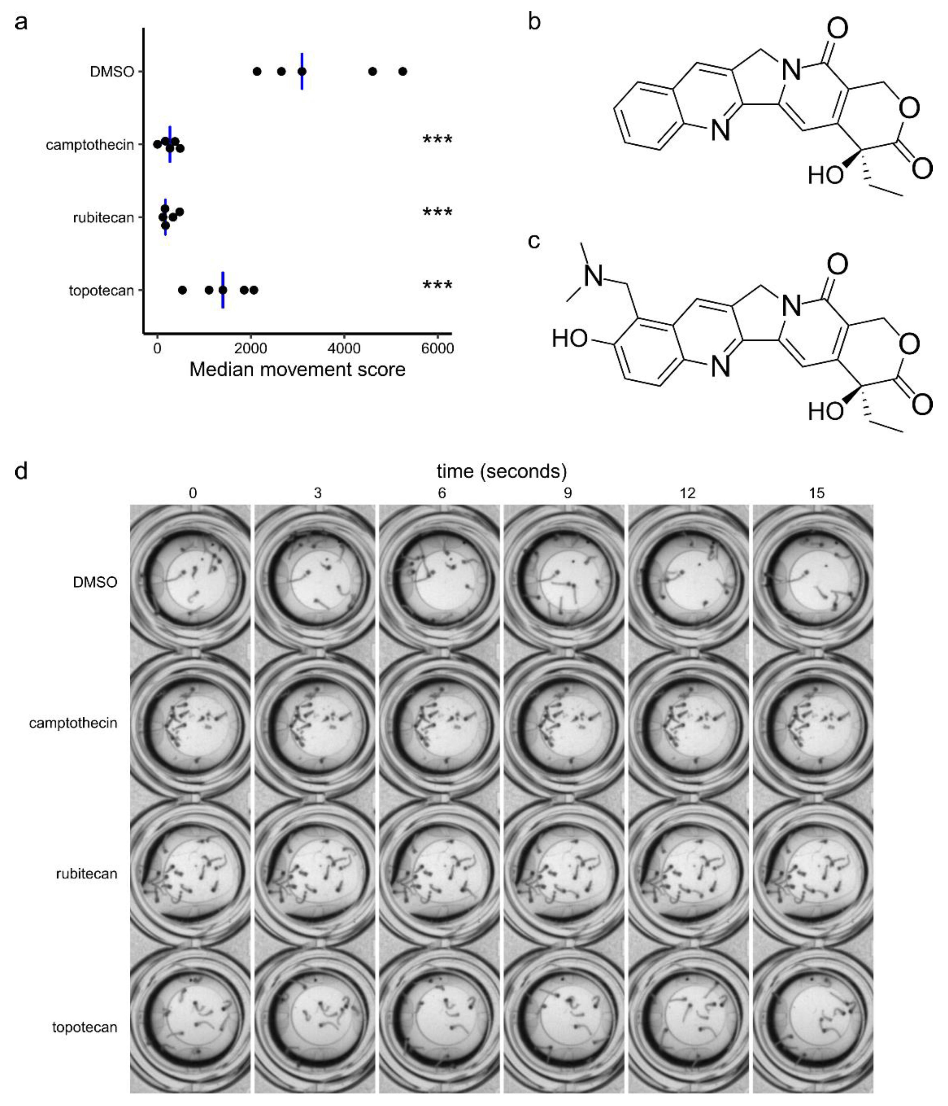 Molecules 26 06226 g002