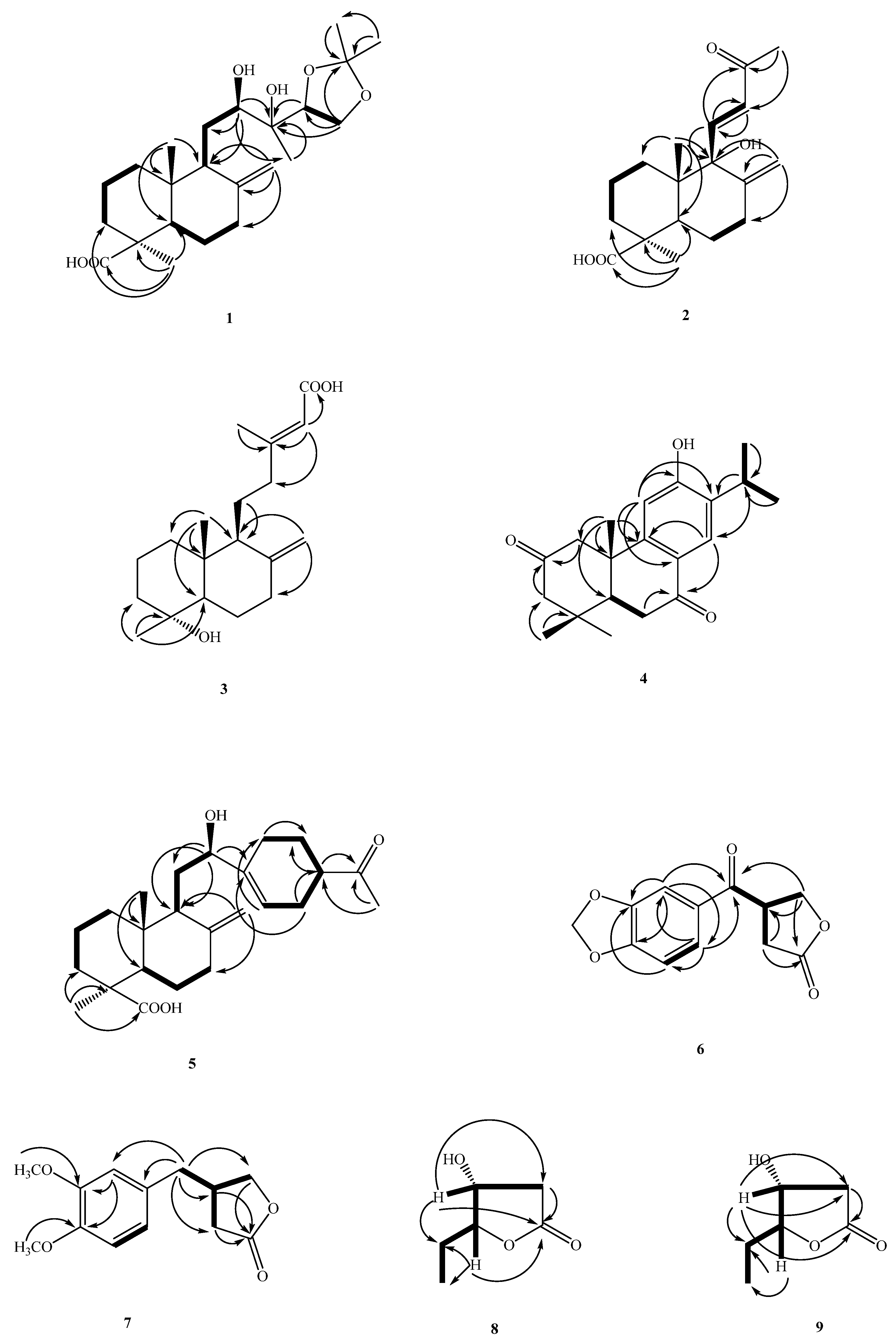Molecules 26 06236 g003
