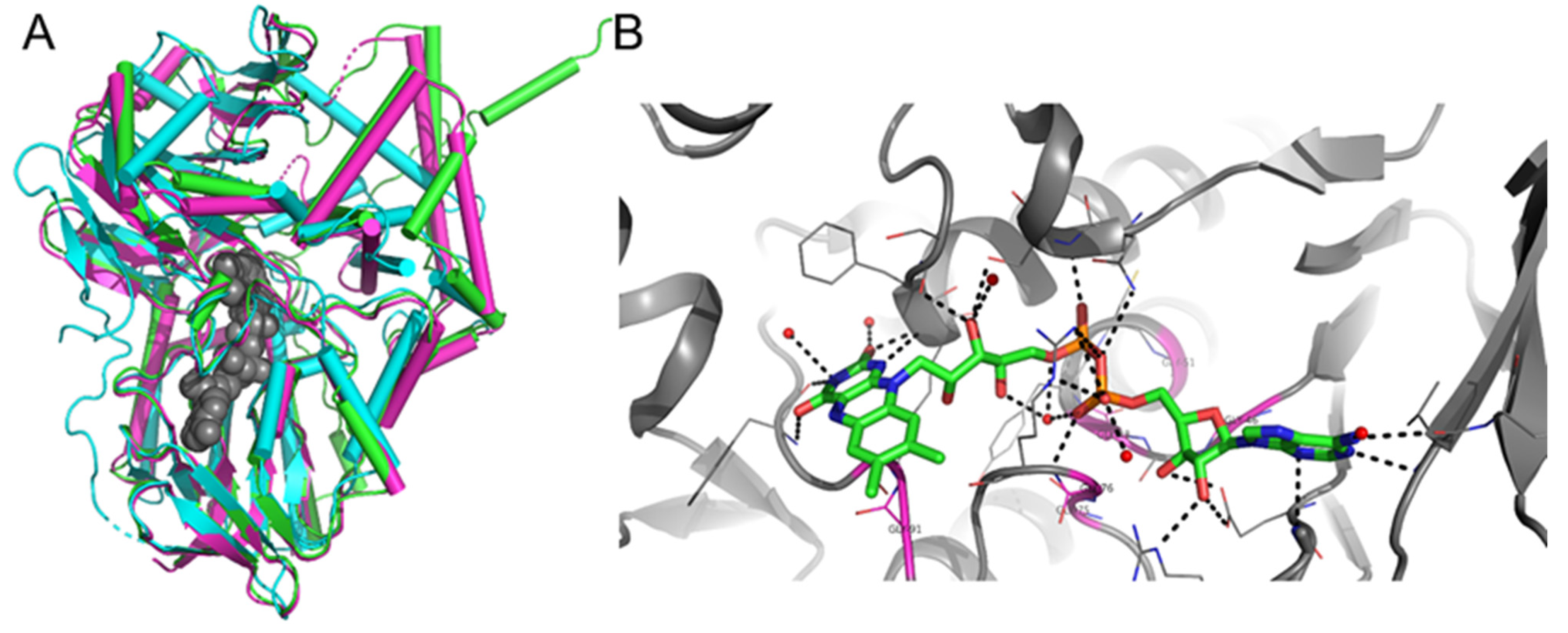 Molecules 26 06237 g001