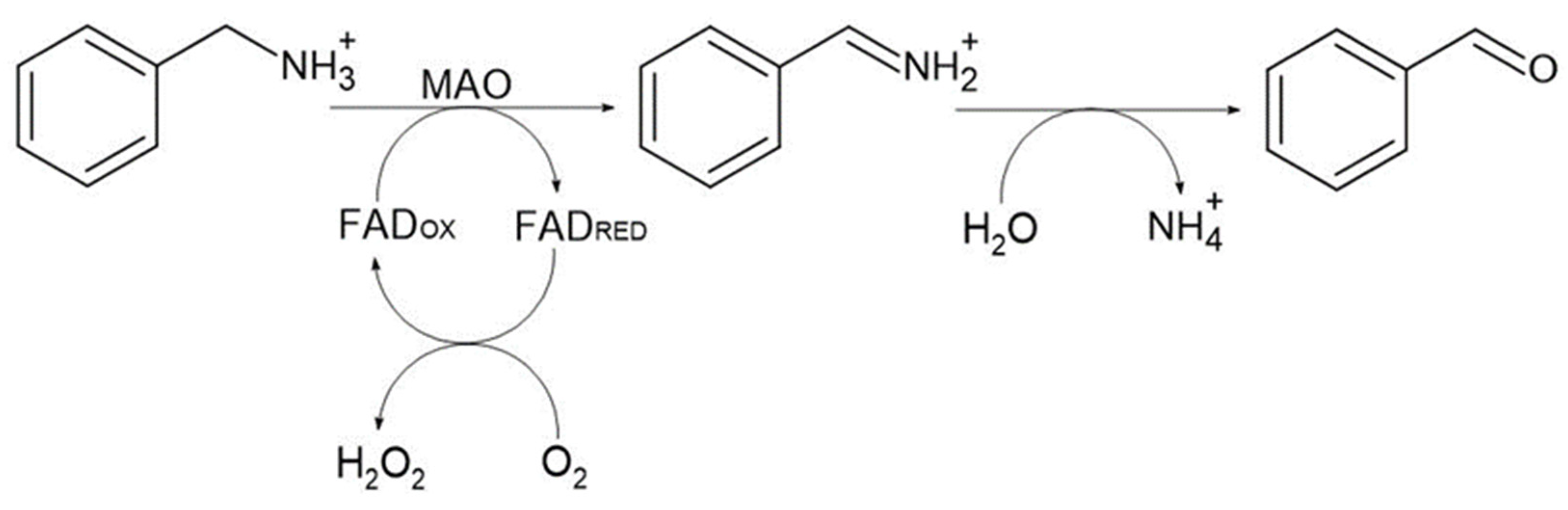 Molecules 26 06237 sch001