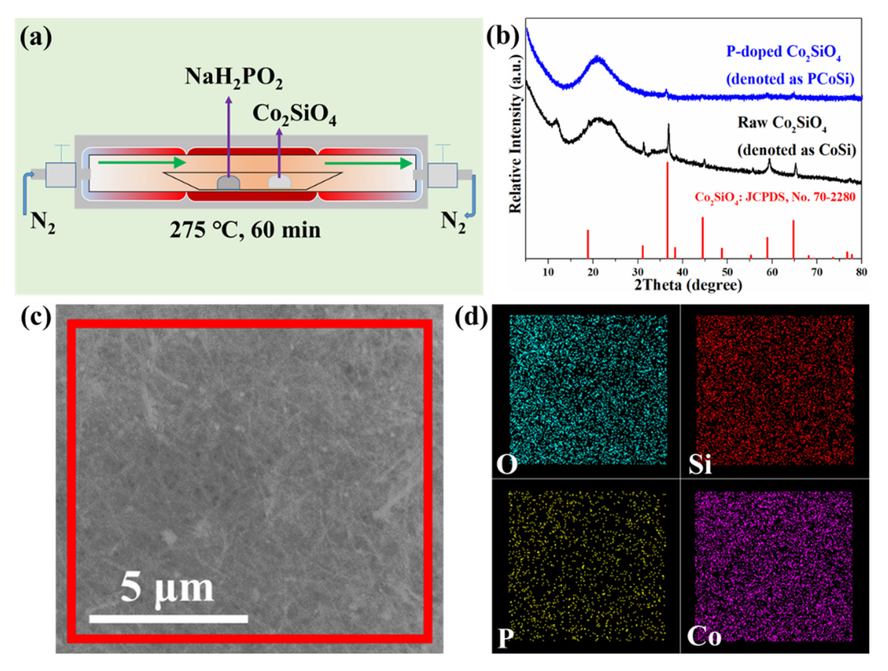 Molecules 26 06240 g001