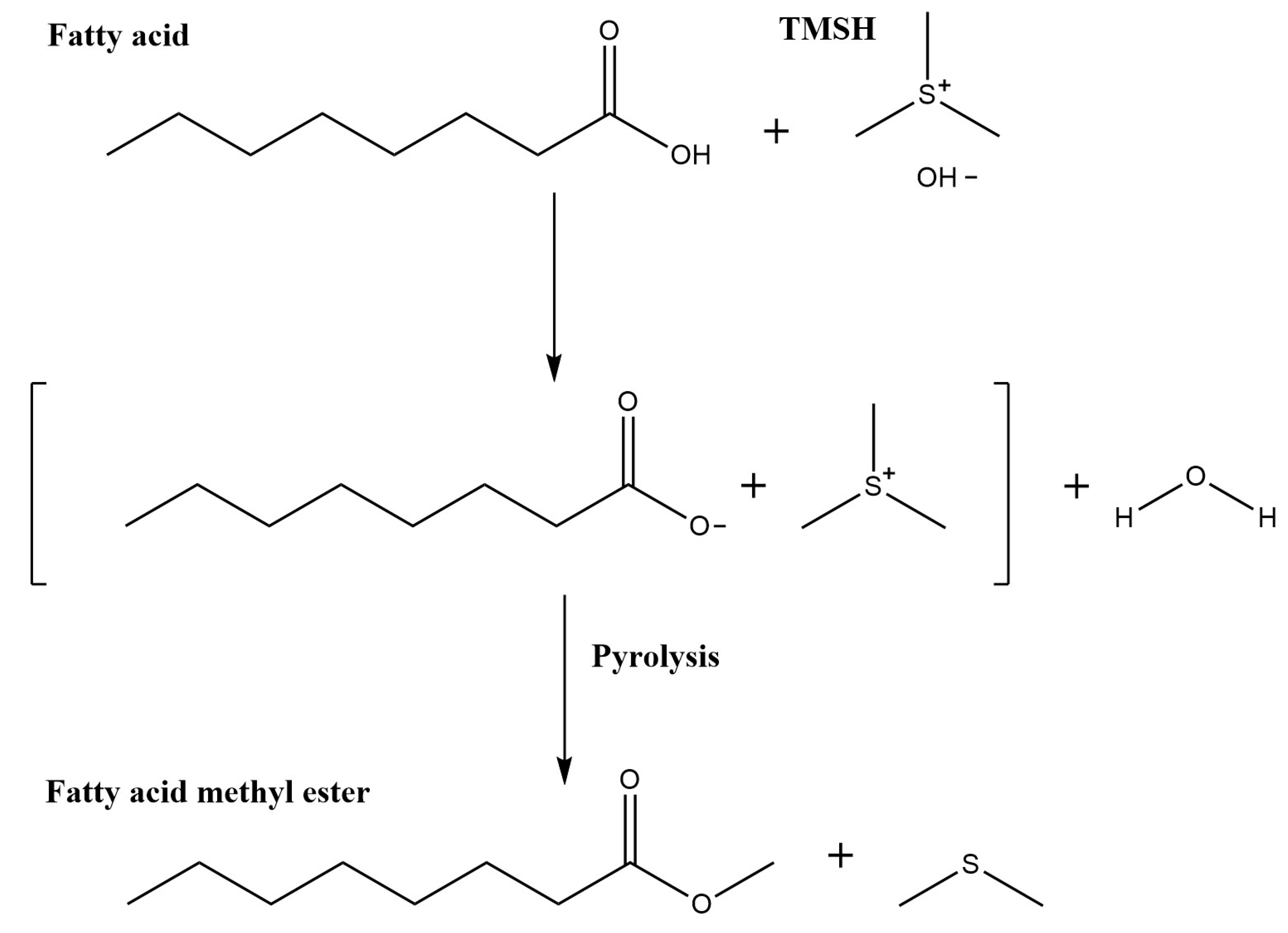 Molecules 26 06246 g002 Molecules 26 06246 g002