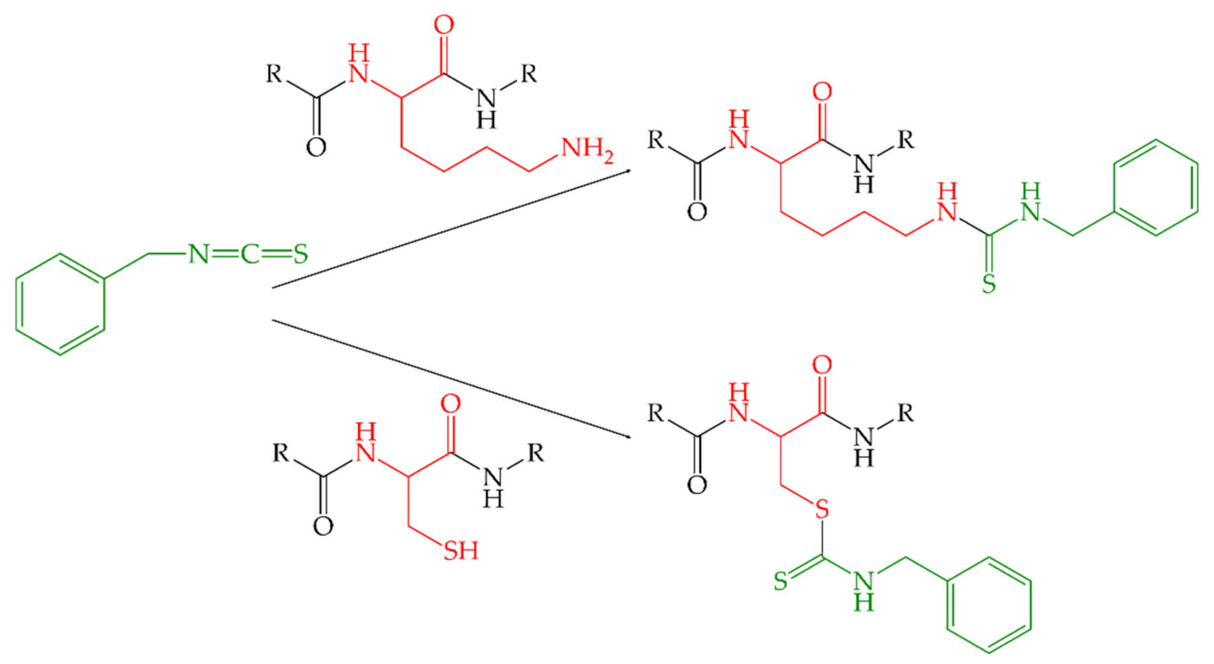 Molecules 26 06247 g001 Molecules 26 06247 g001