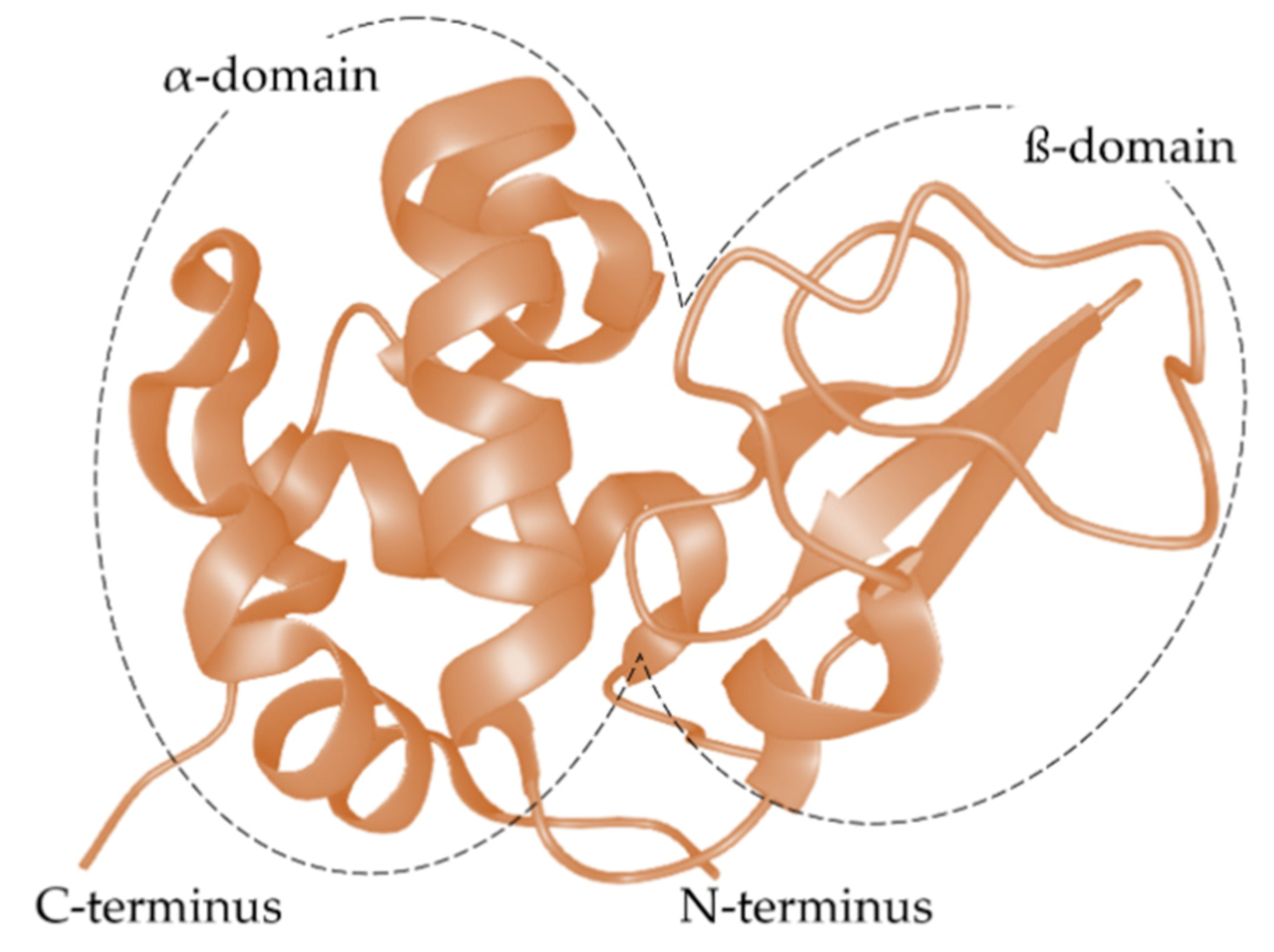 Molecules 26 06247 g002 Molecules 26 06247 g002