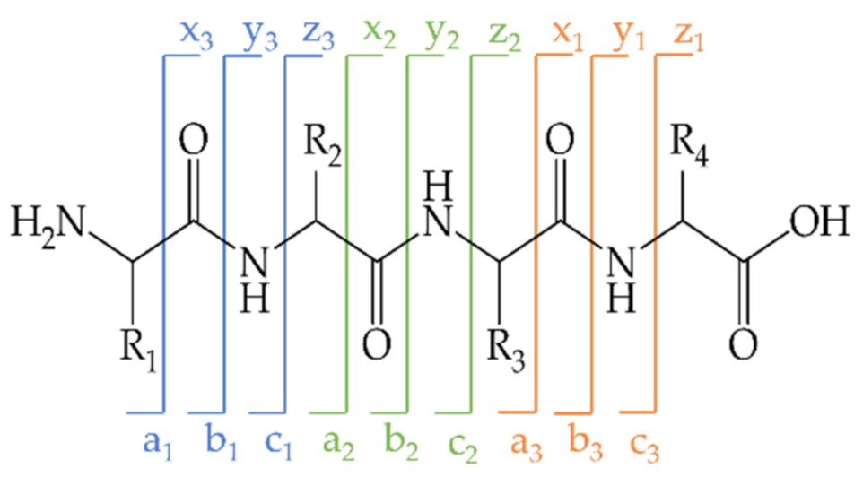 Molecules 26 06247 g008 Molecules 26 06247 g008