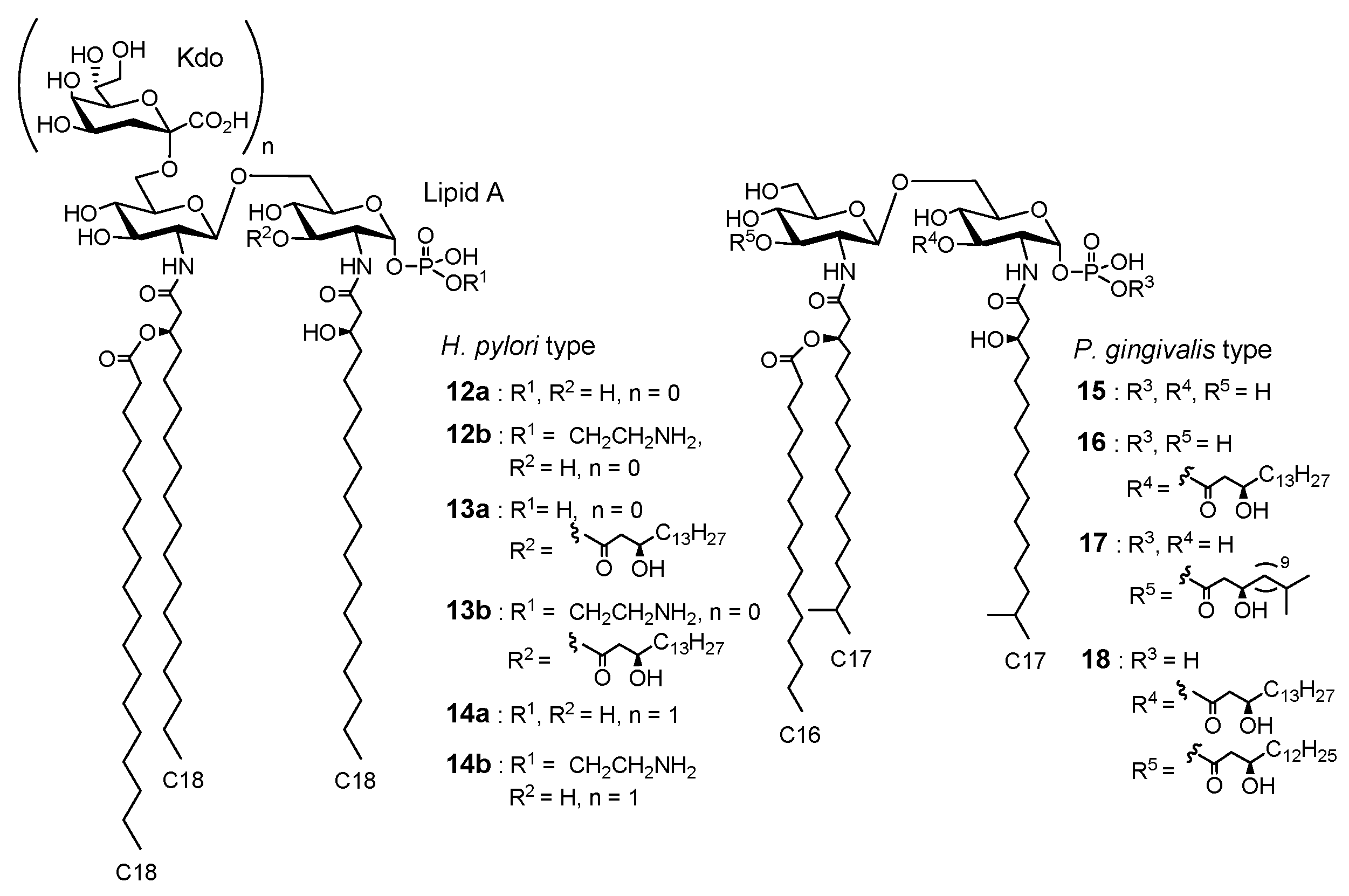 Molecules 26 06294 g007
