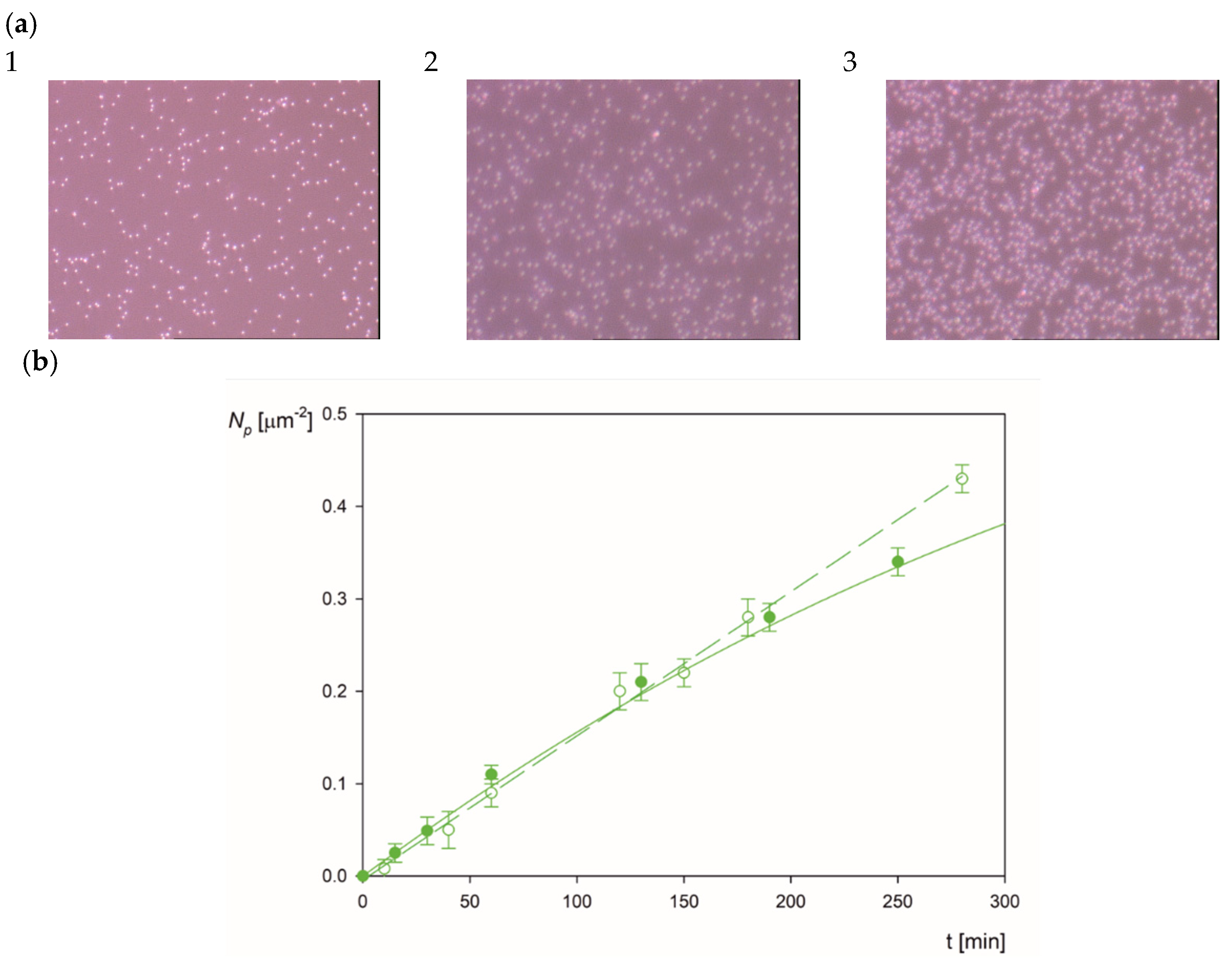 Molecules 26 06299 g005