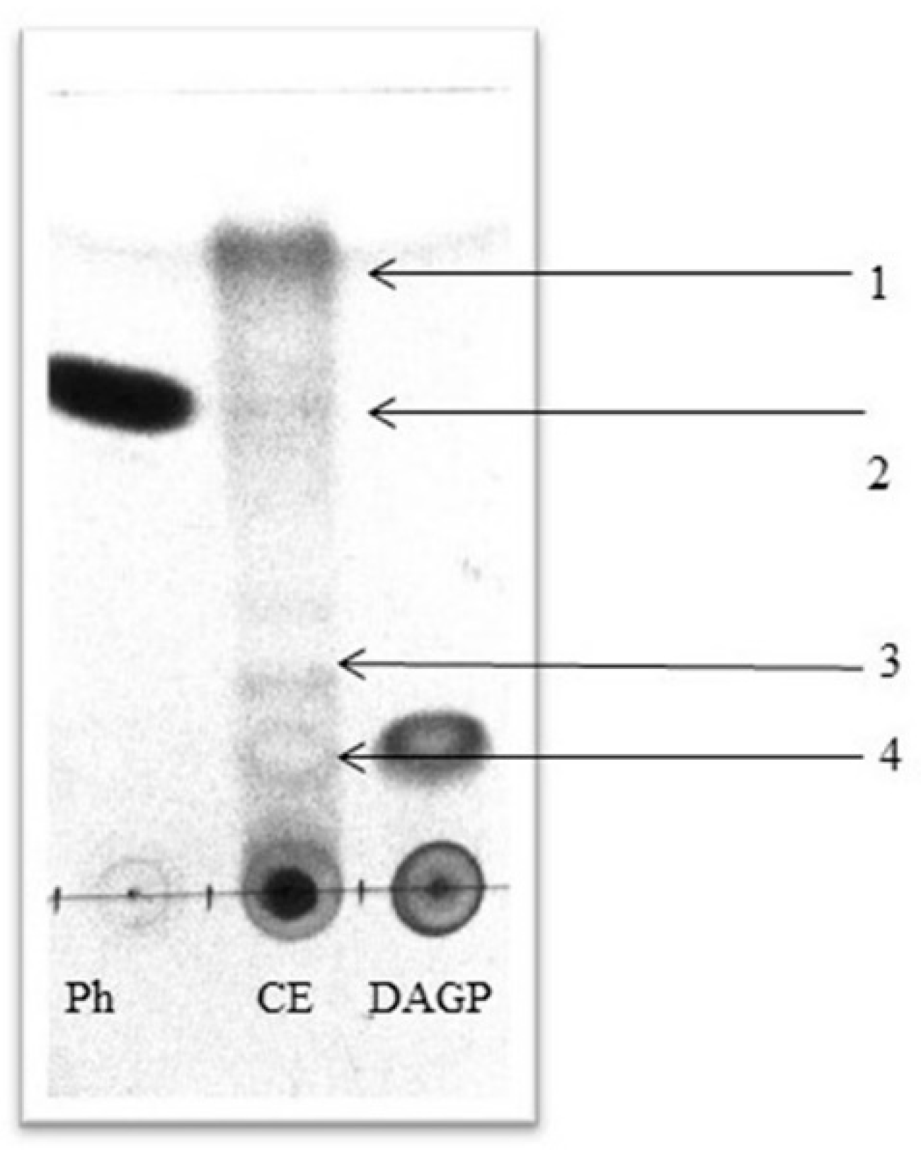 Molecules 26 06359 g002 Molecules 26 06359 g002