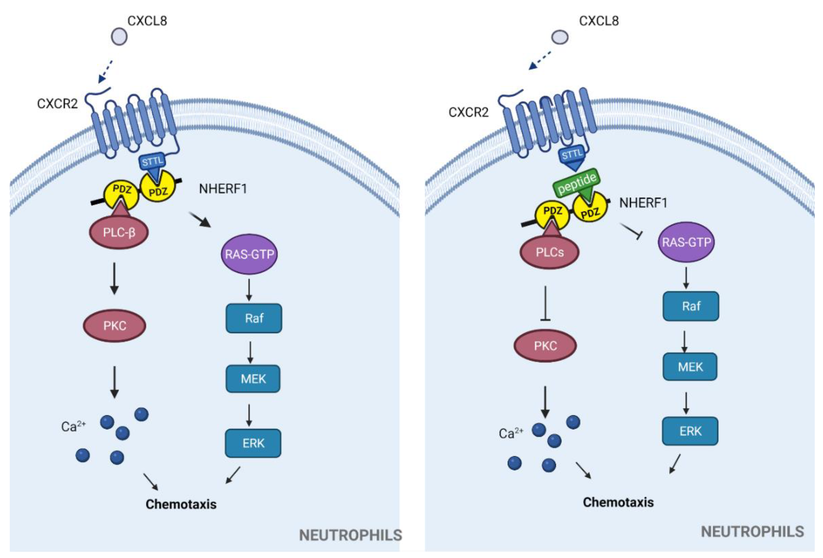 Molecules 26 06367 g002