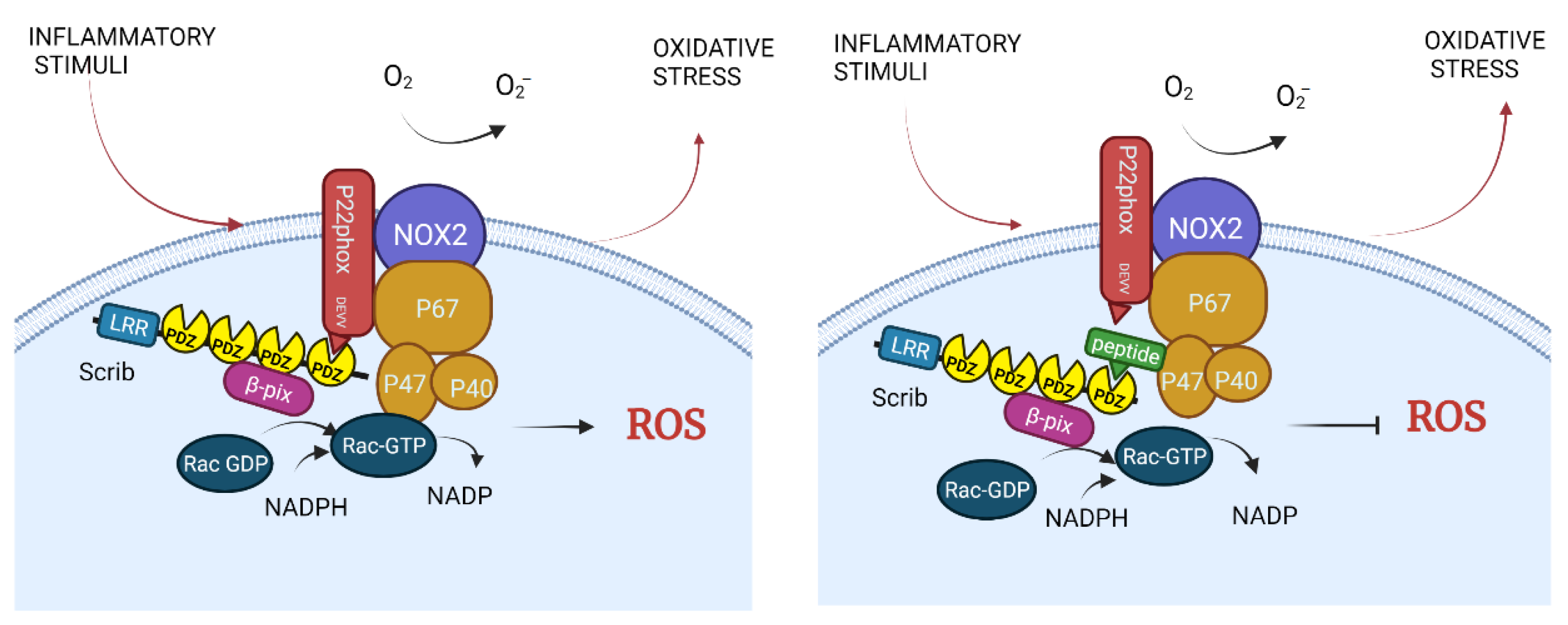 Molecules 26 06367 g004
