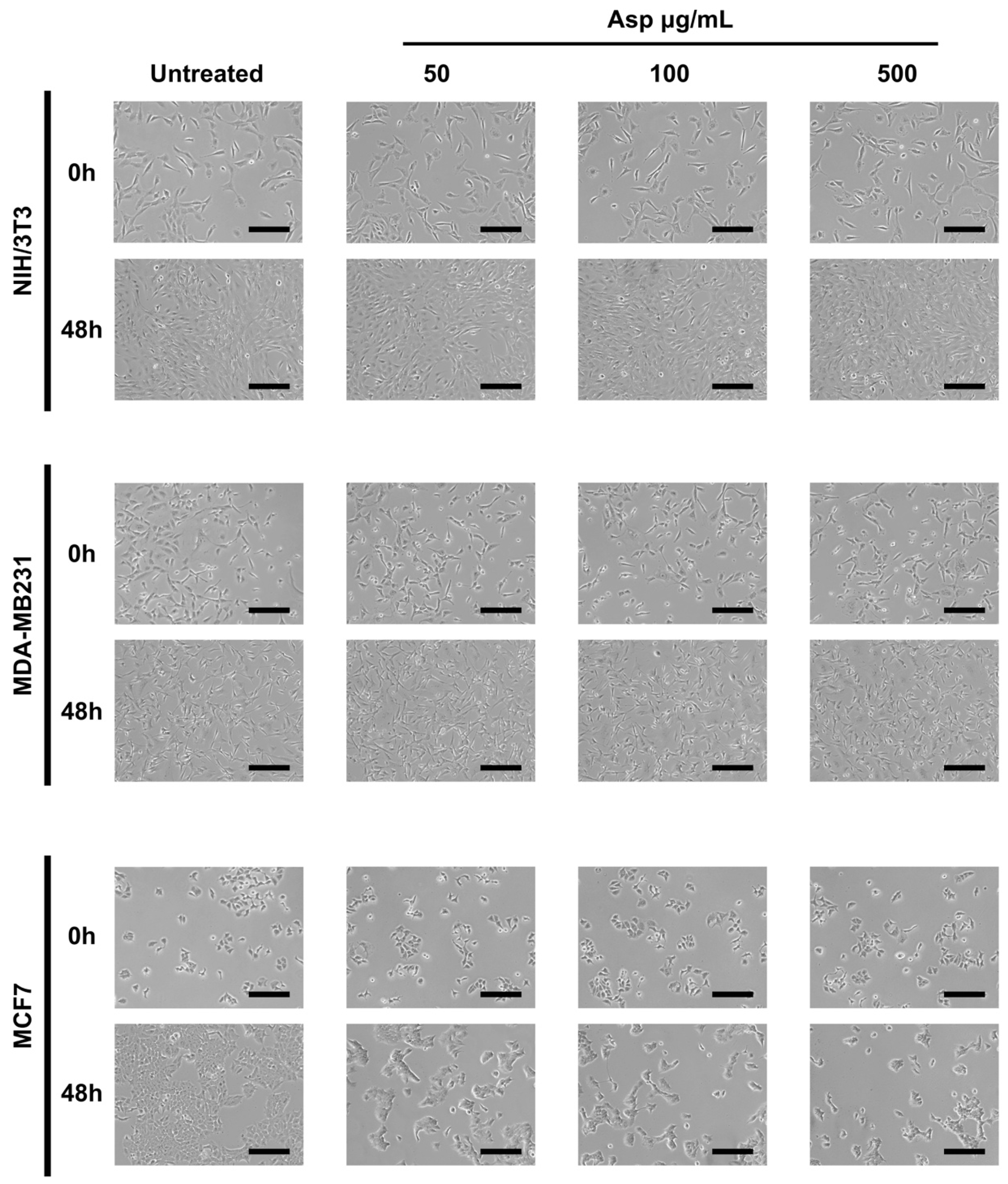 Molecules 26 06369 g001 Molecules 26 06369 g001
