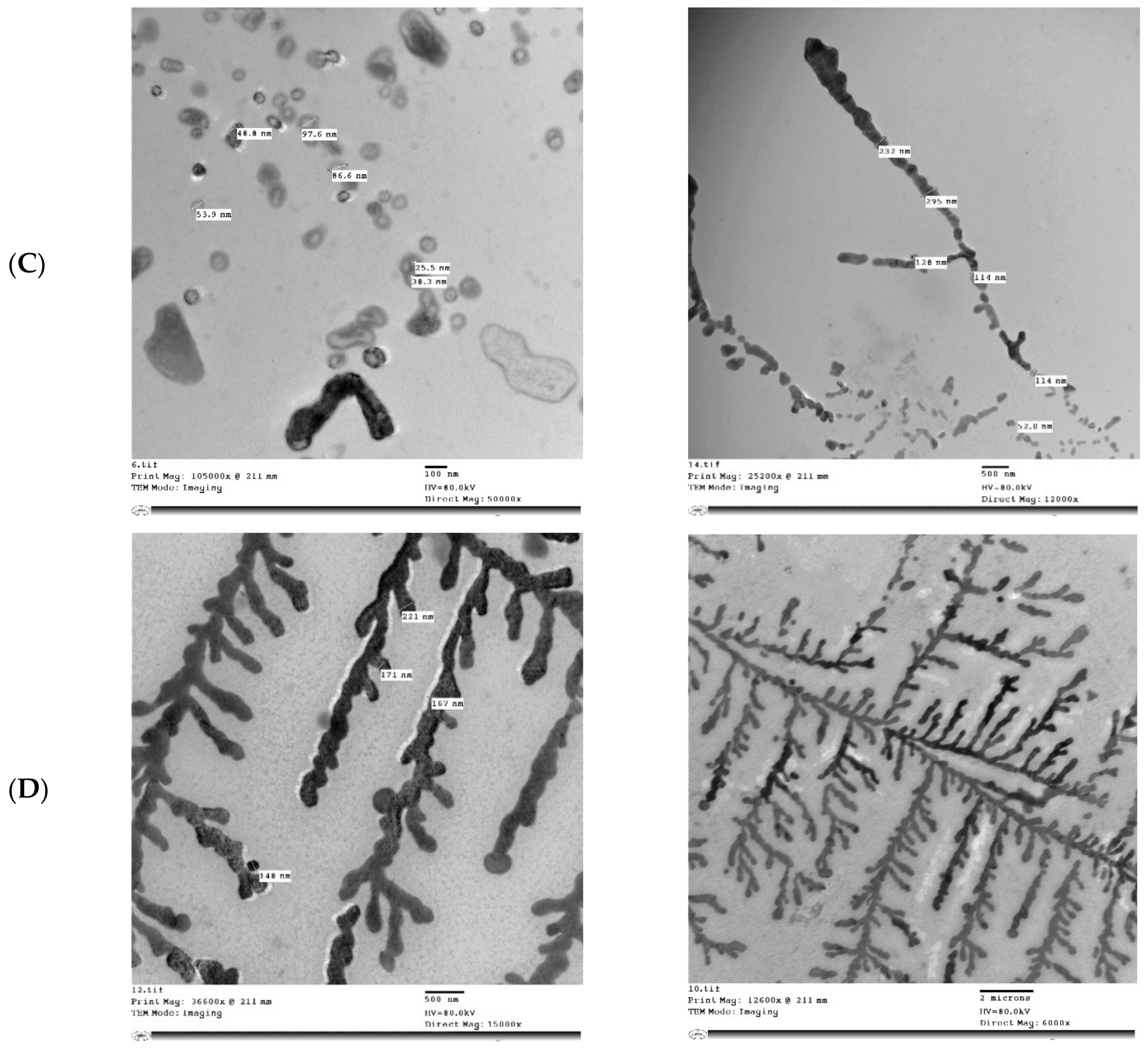 Molecules 26 06372 g005b