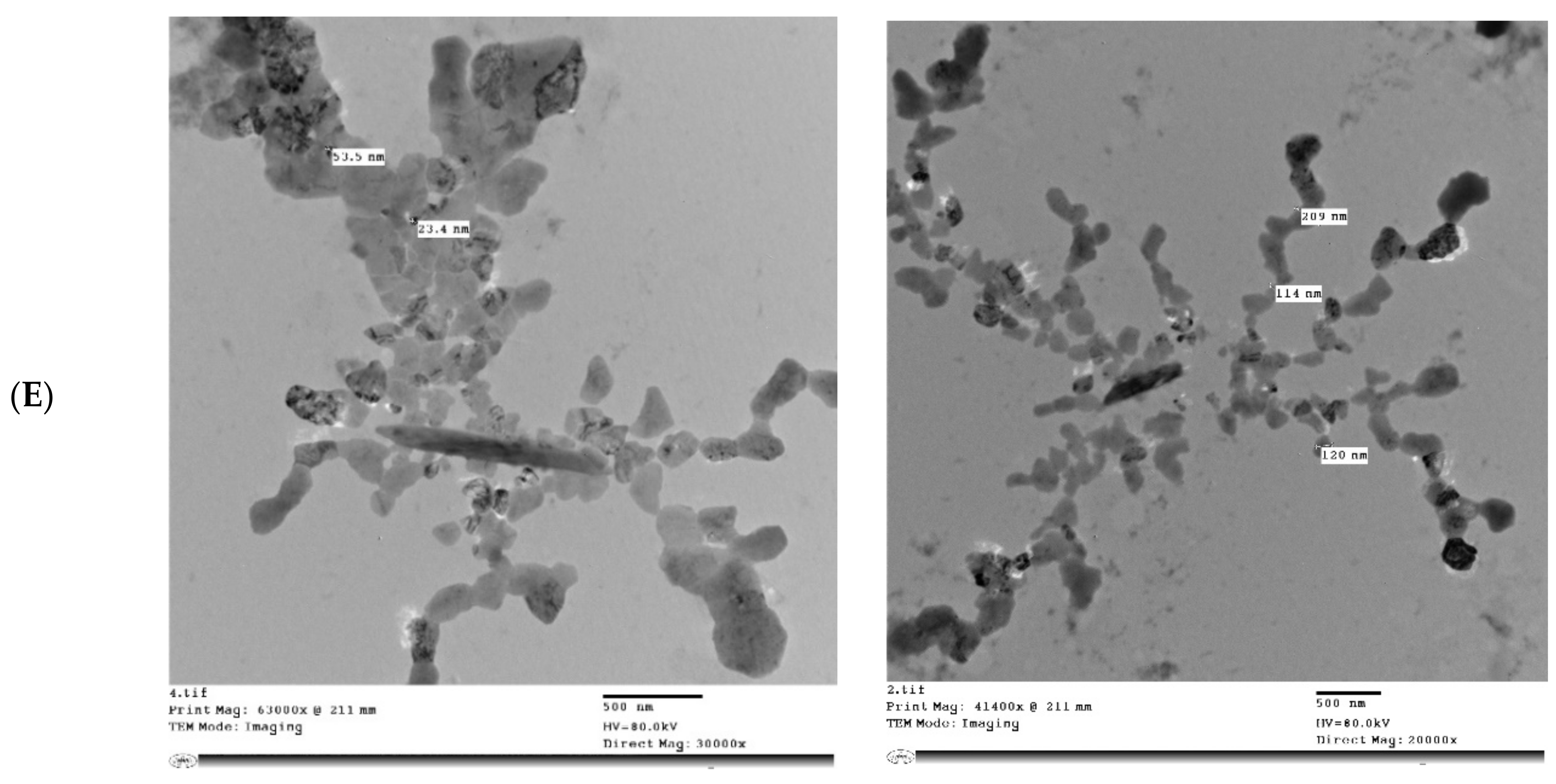 Molecules 26 06372 g005c