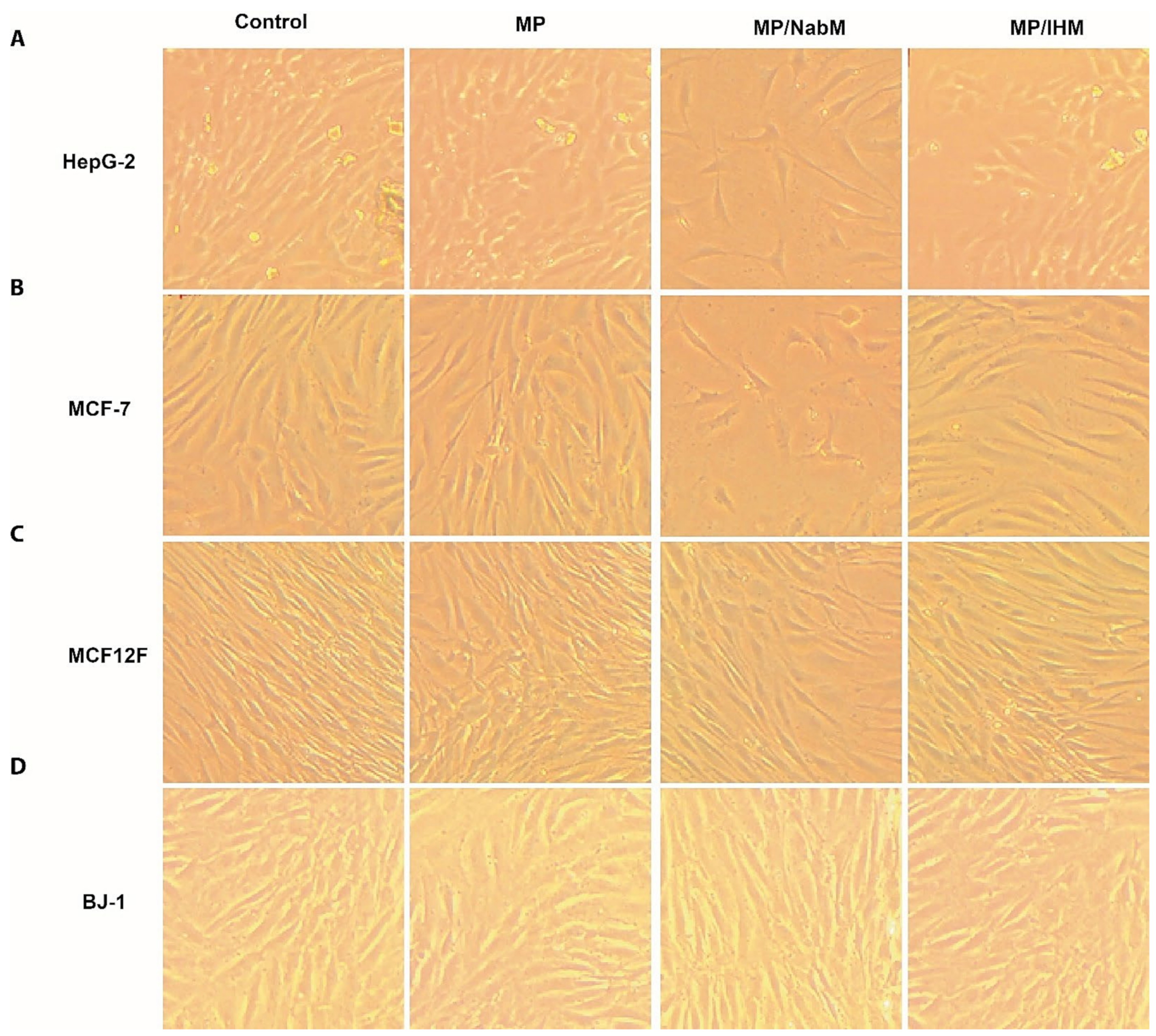 Molecules 26 06372 g007