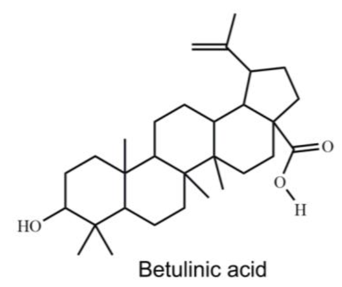 Molecules 26 06377 g001