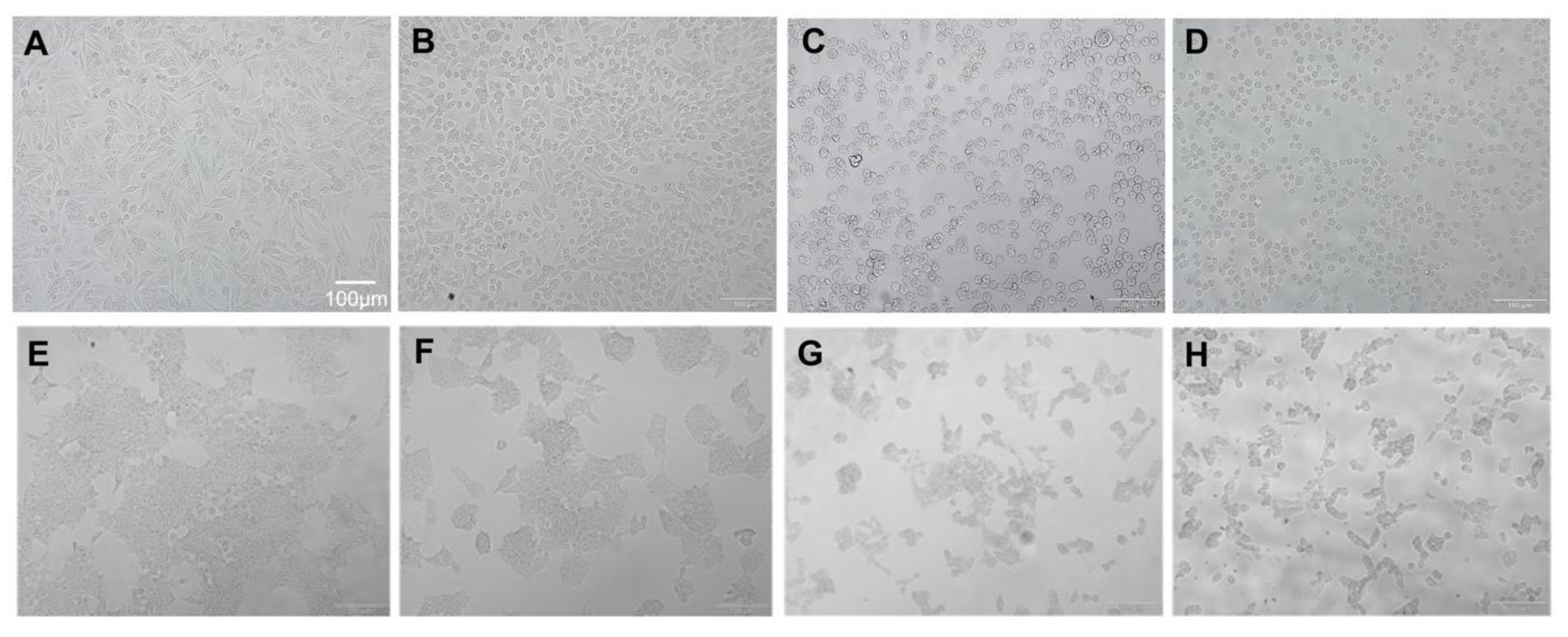 Molecules 26 06377 g003
