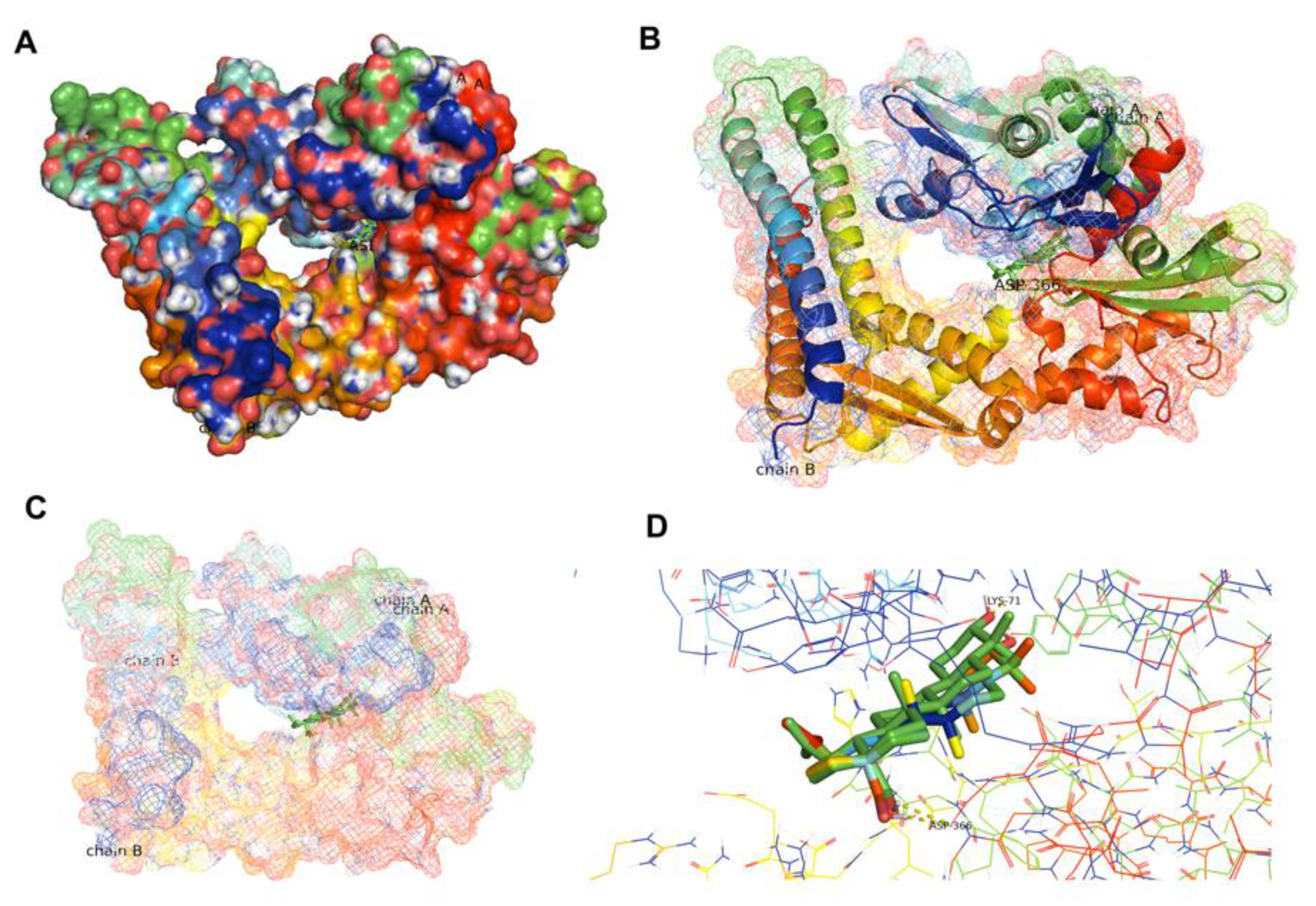 Molecules 26 06377 g008