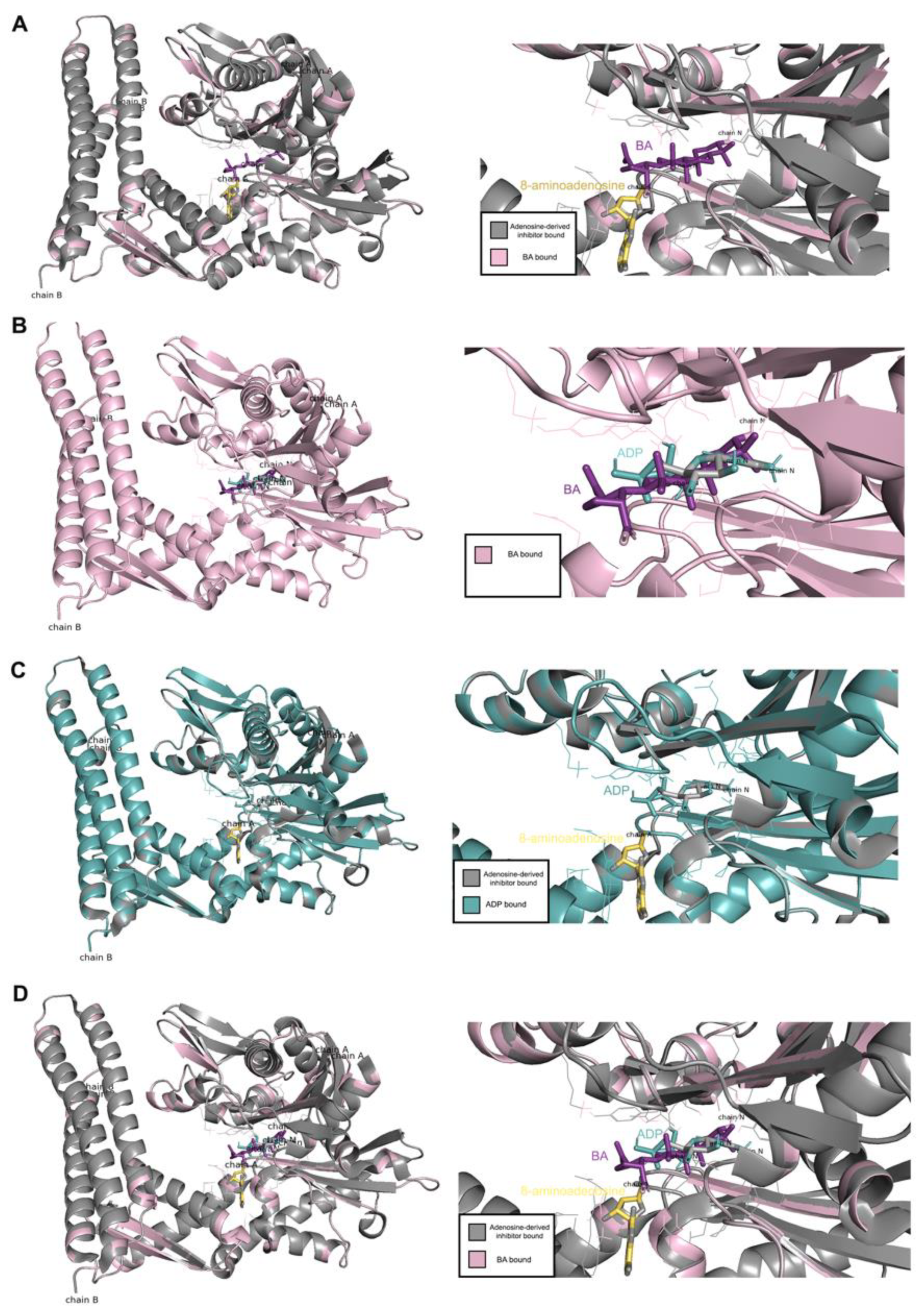 Molecules 26 06377 g009