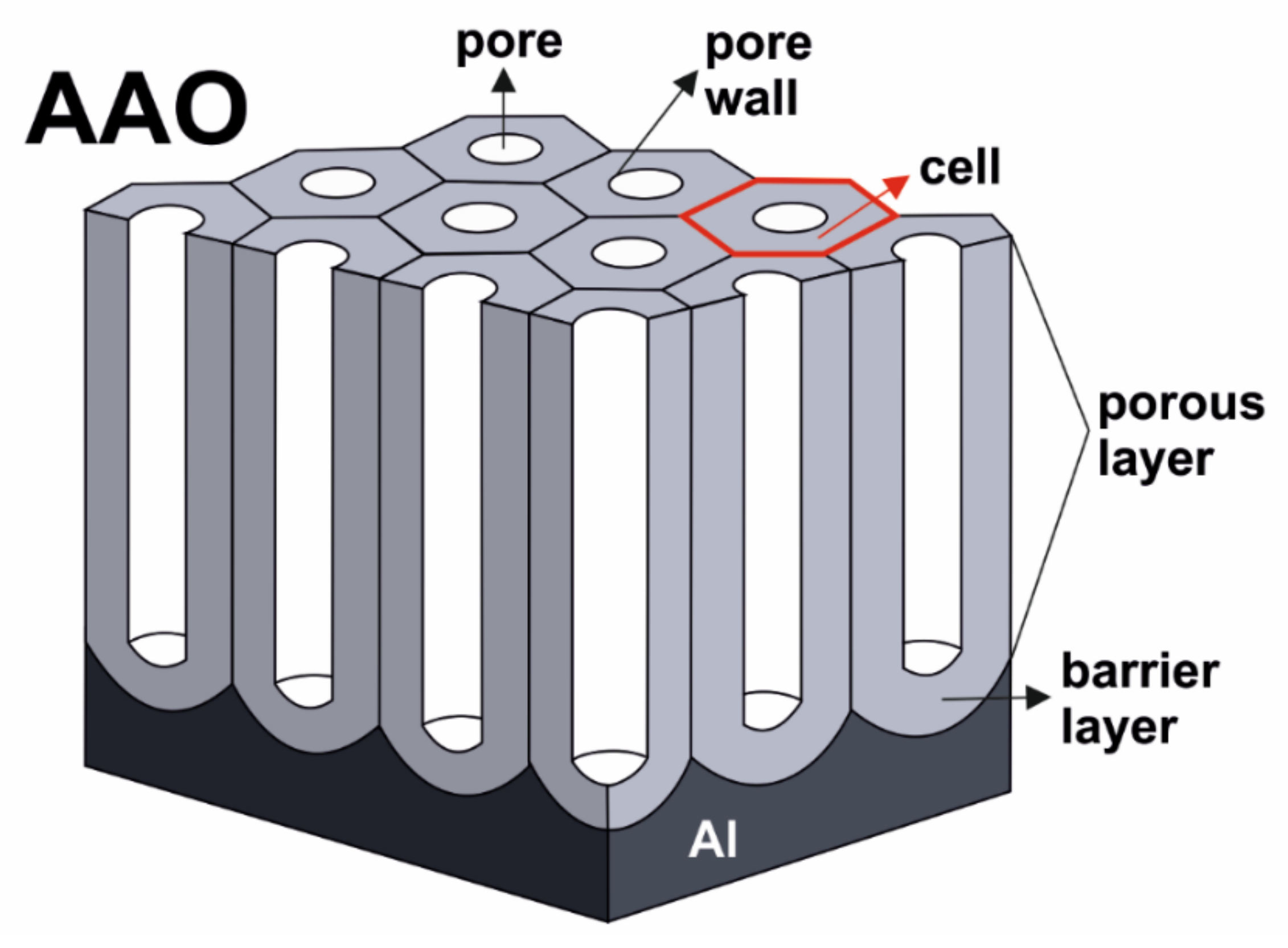 Molecules 26 06378 g003 Molecules 26 06378 g003