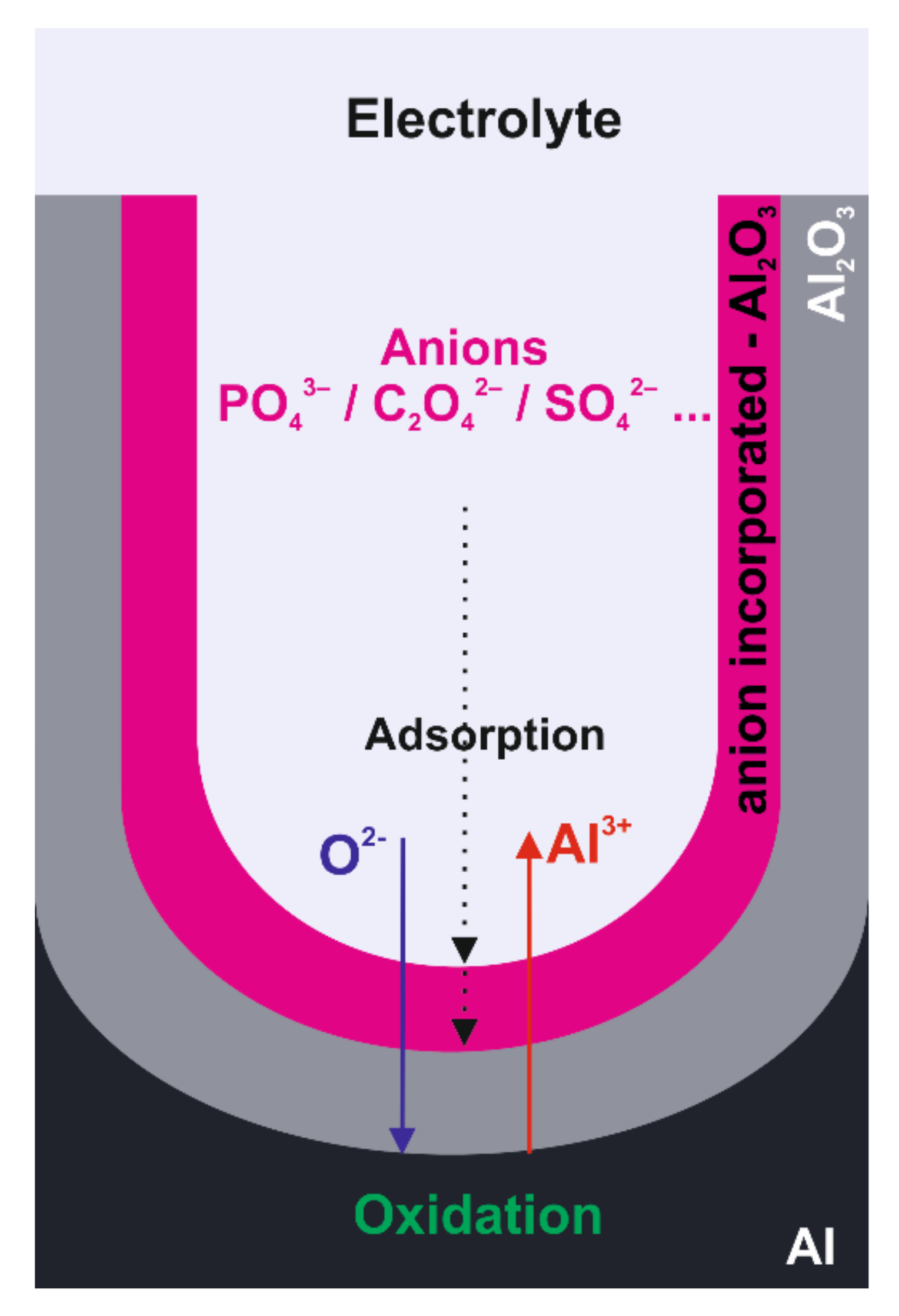 Molecules 26 06378 g004 Molecules 26 06378 g004