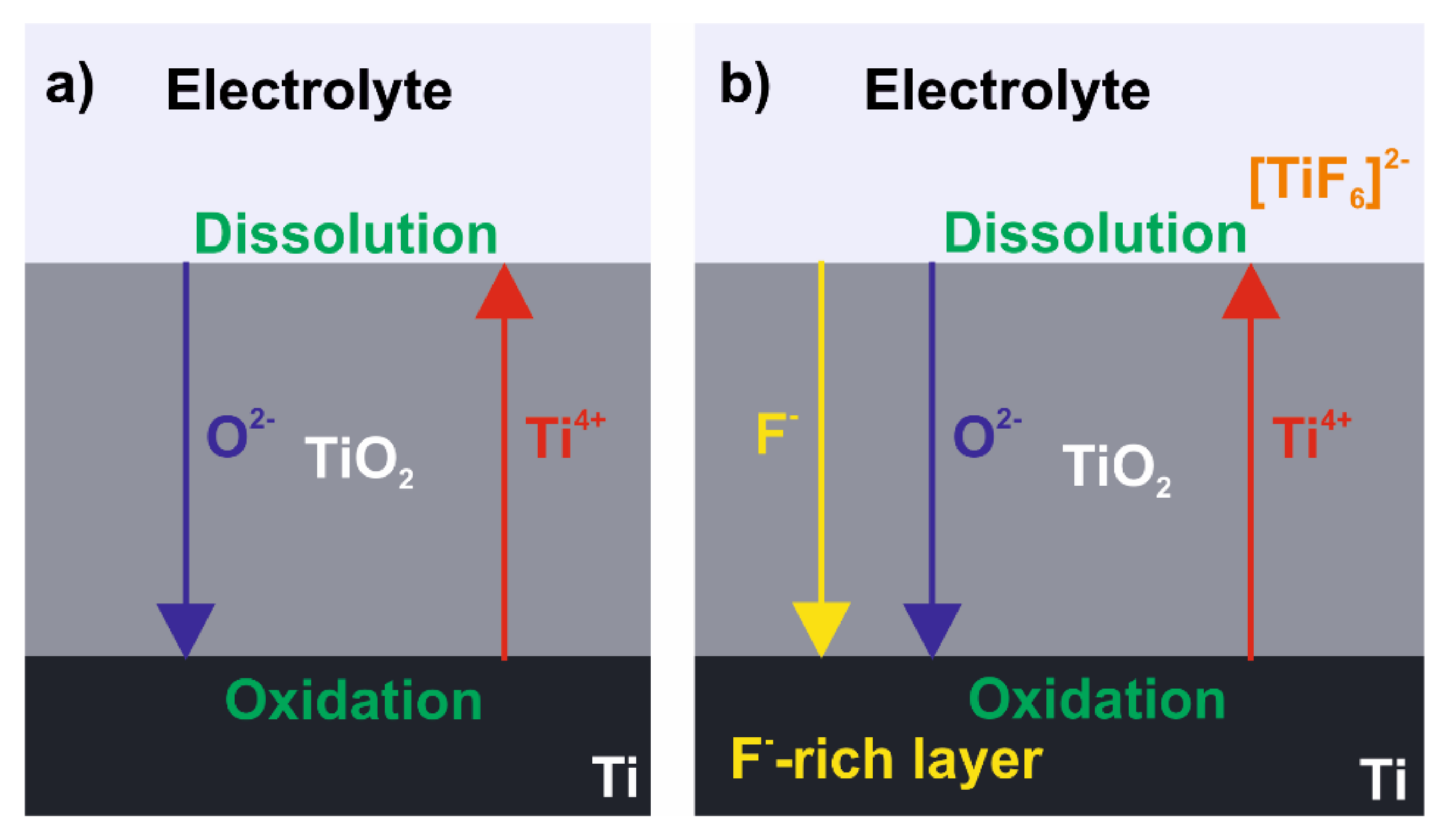 Molecules 26 06378 g008 Molecules 26 06378 g008