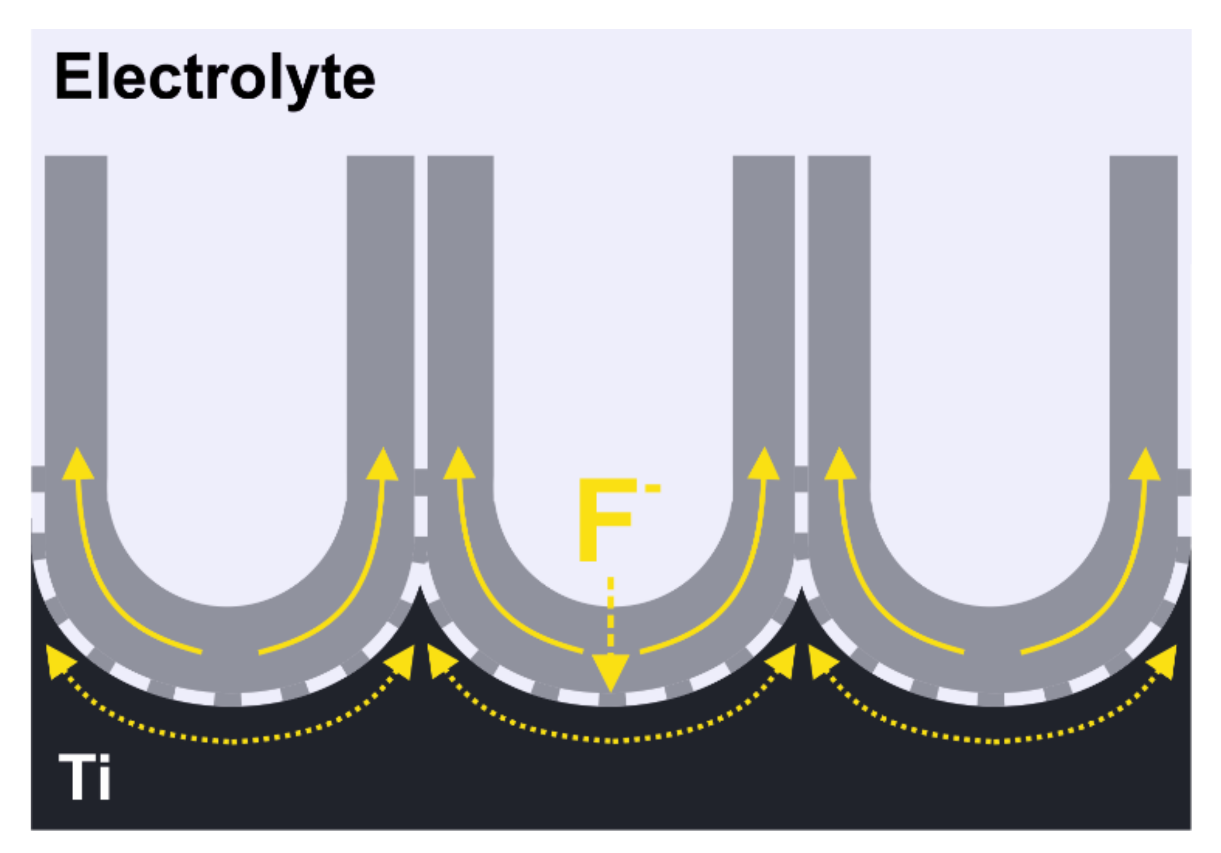 Molecules 26 06378 g009 Molecules 26 06378 g009