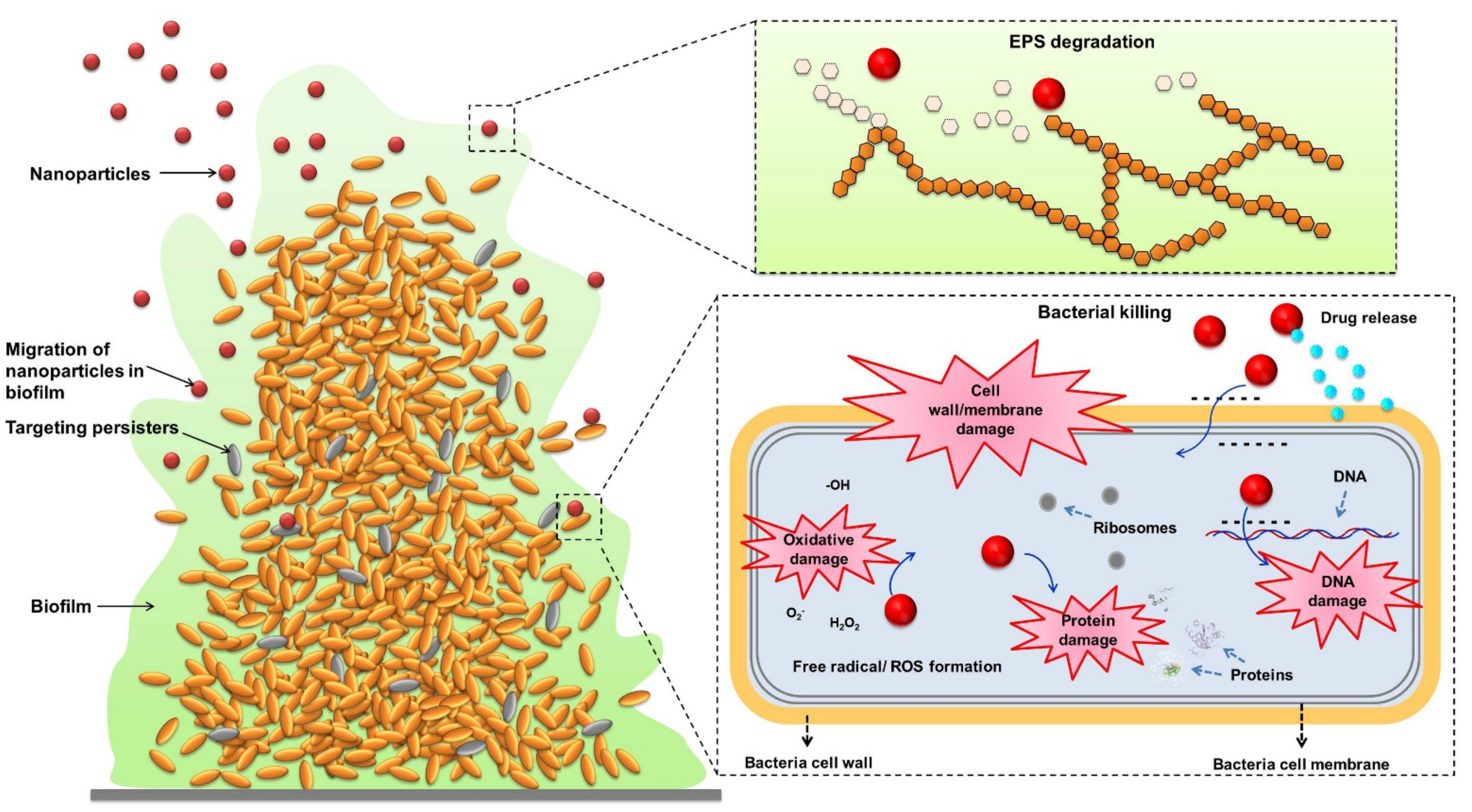 Molecules 26 06392 g003