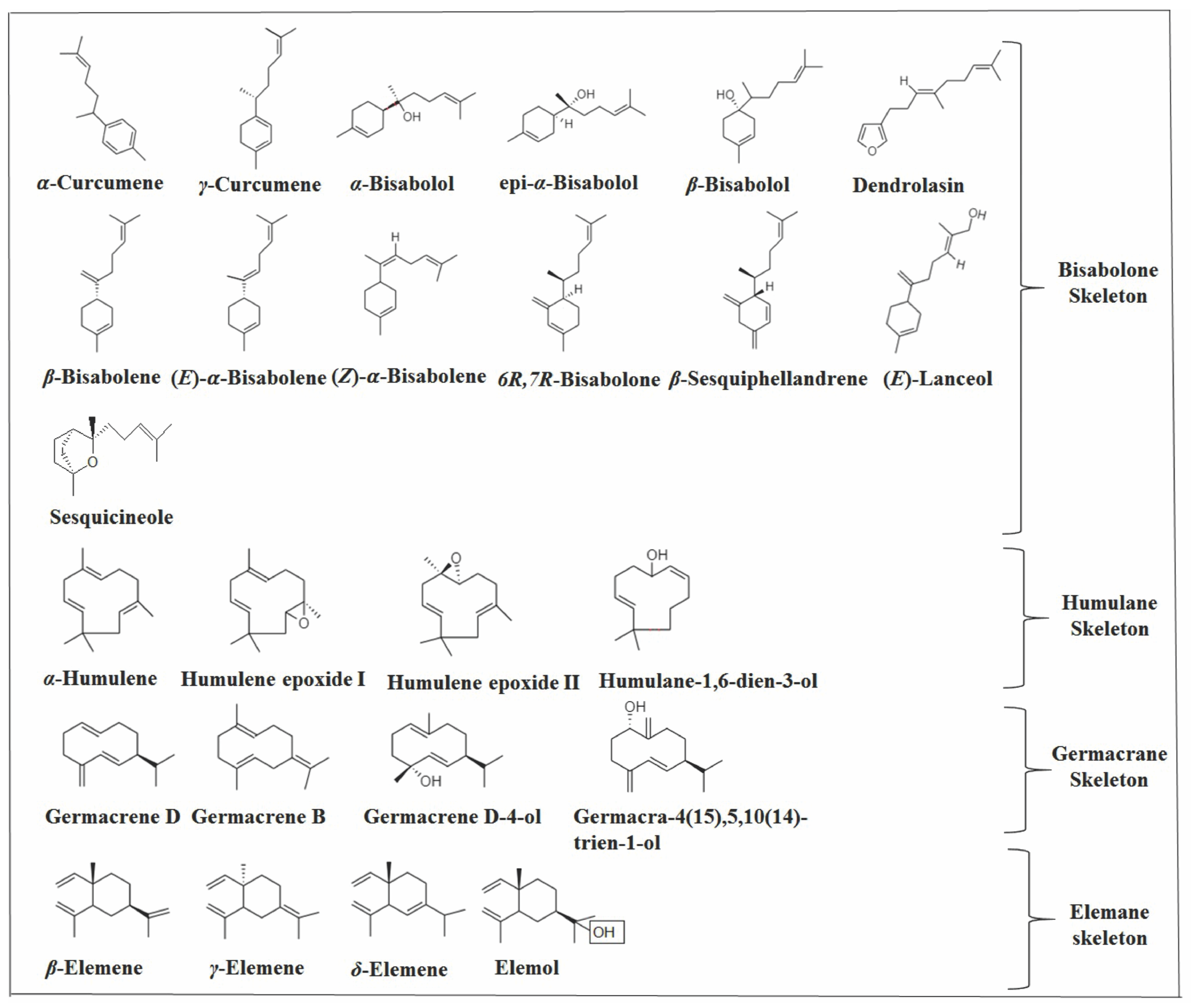 Molecules 26 06405 g004 Molecules 26 06405 g004