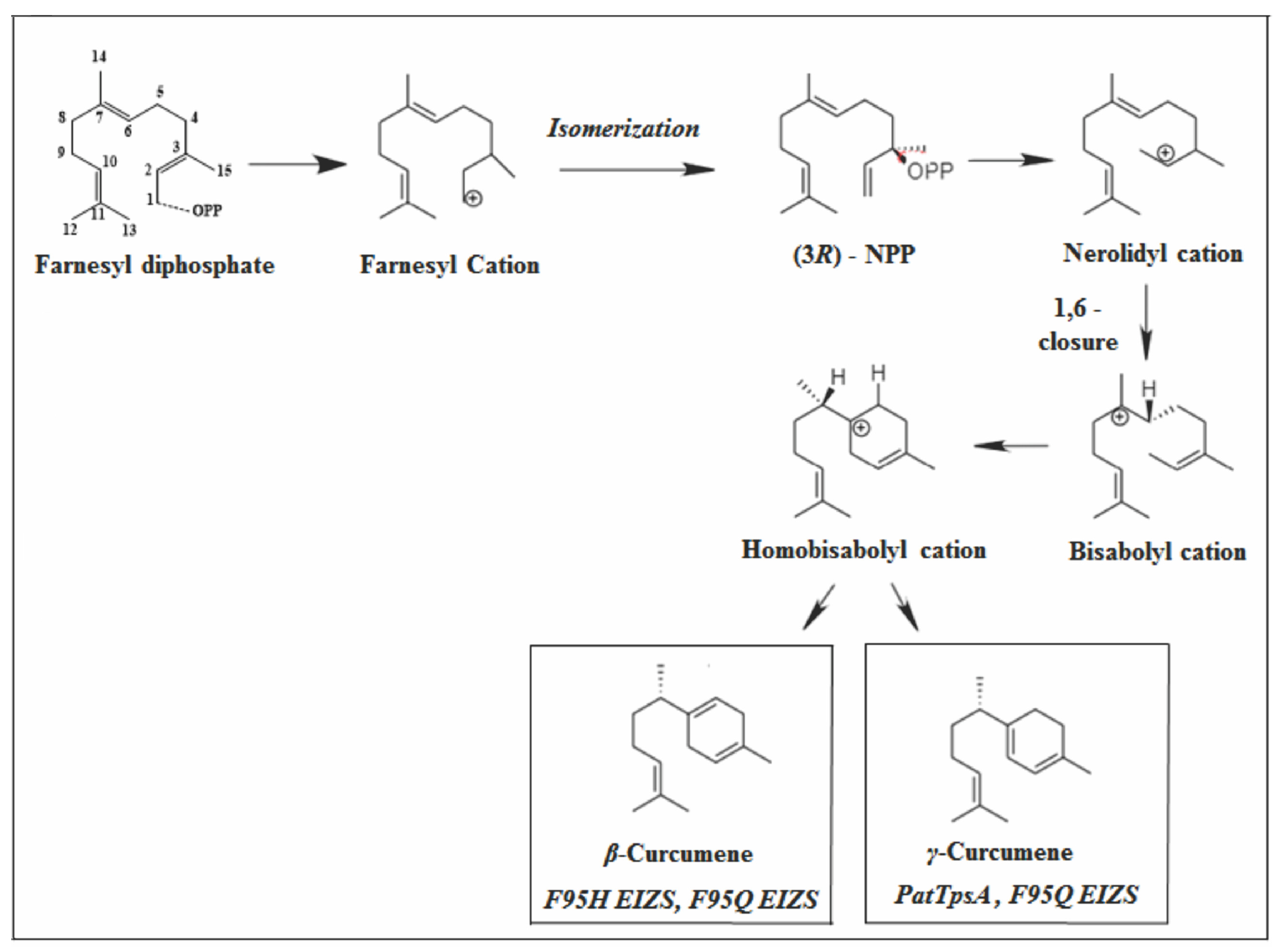 Molecules 26 06405 g007 Molecules 26 06405 g007