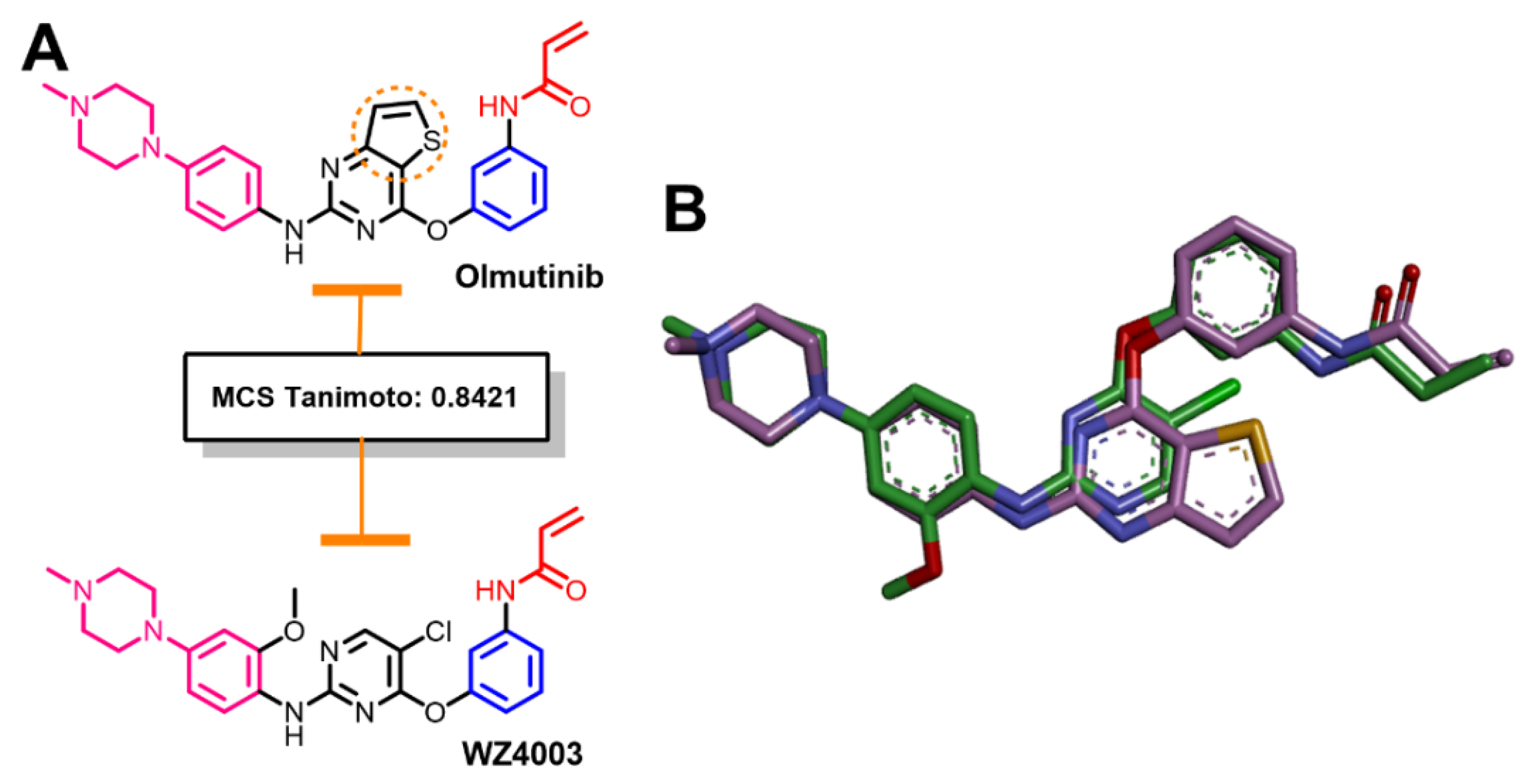 Molecules 26 06423 g004