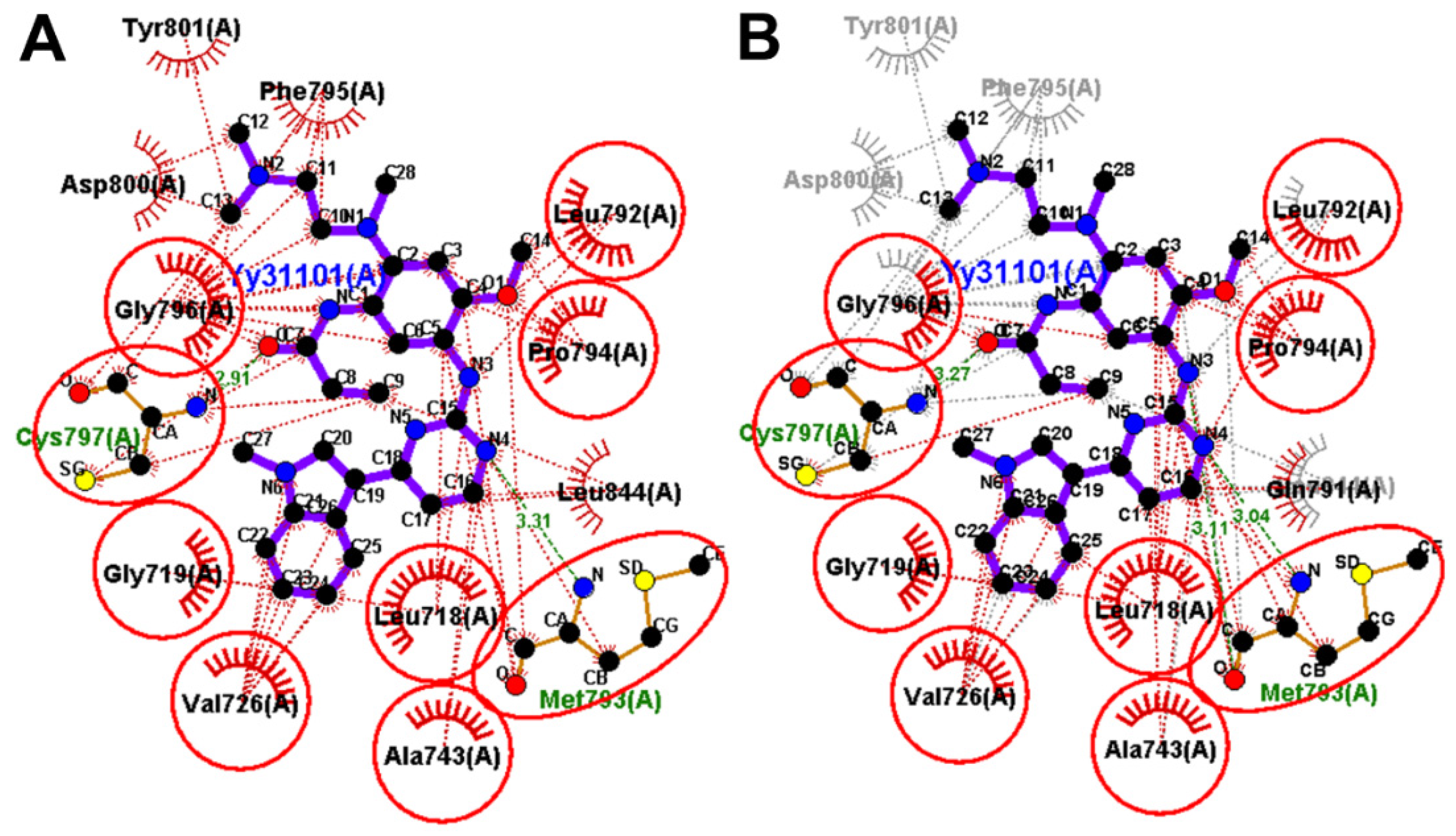 Molecules 26 06423 g011