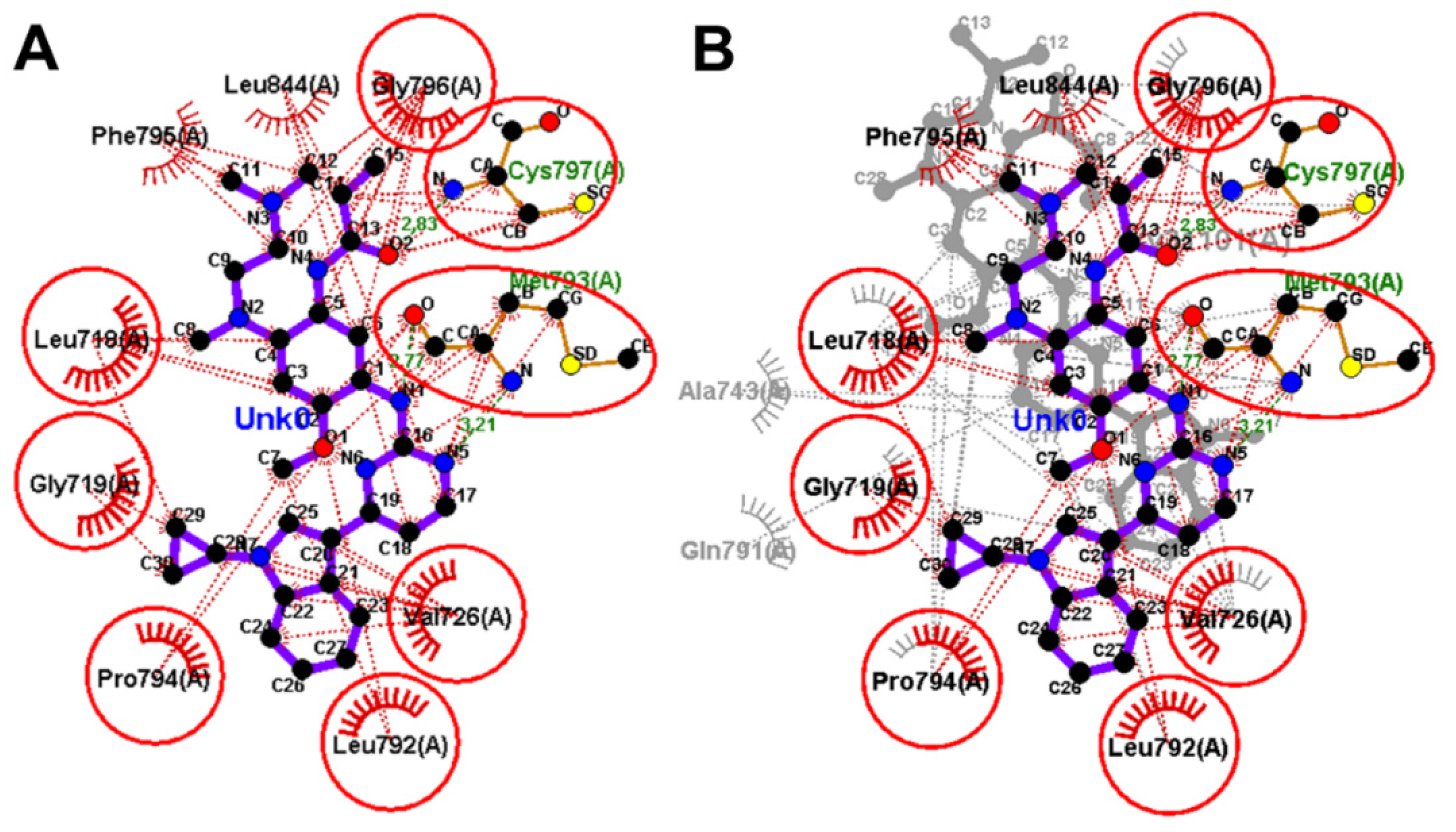 Molecules 26 06423 g013