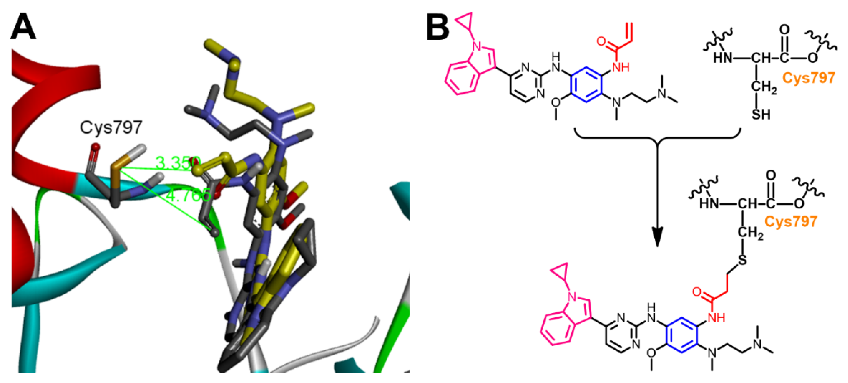 Molecules 26 06423 g014