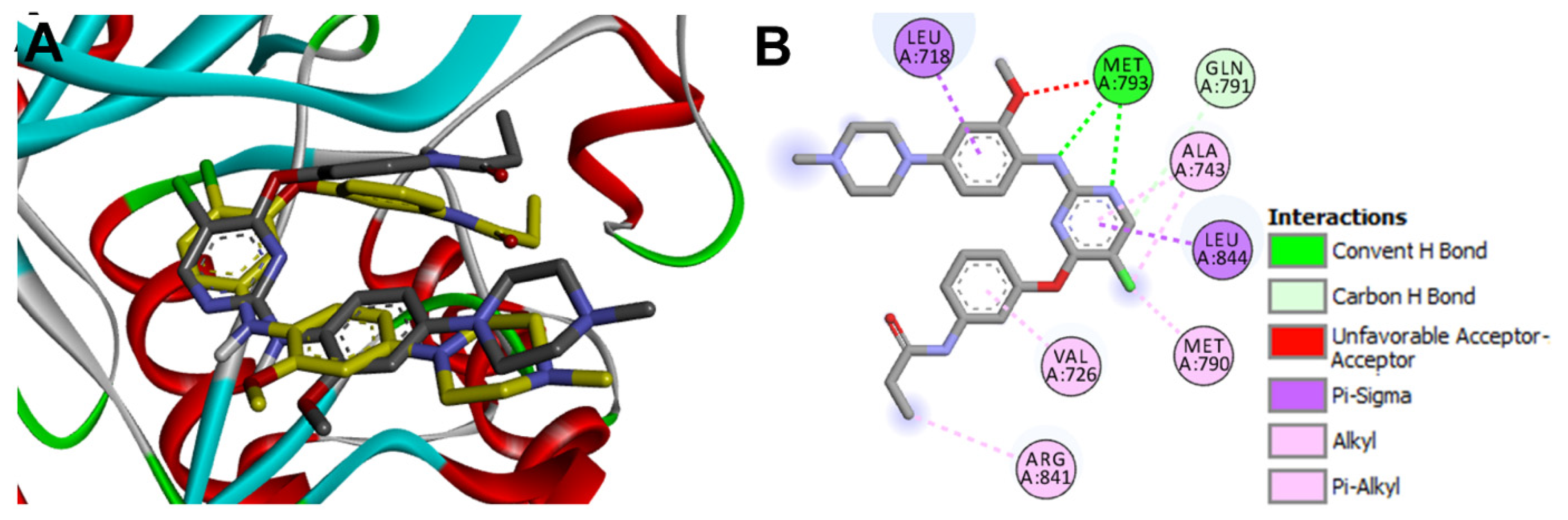 Molecules 26 06423 g015
