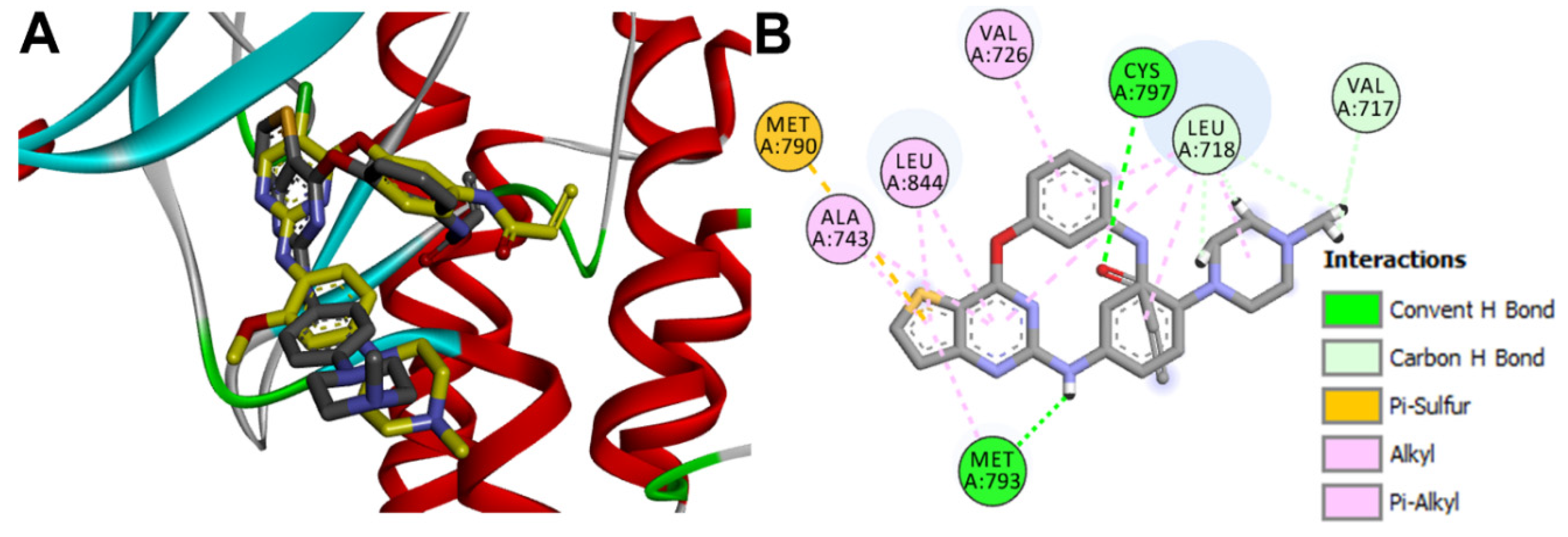 Molecules 26 06423 g017