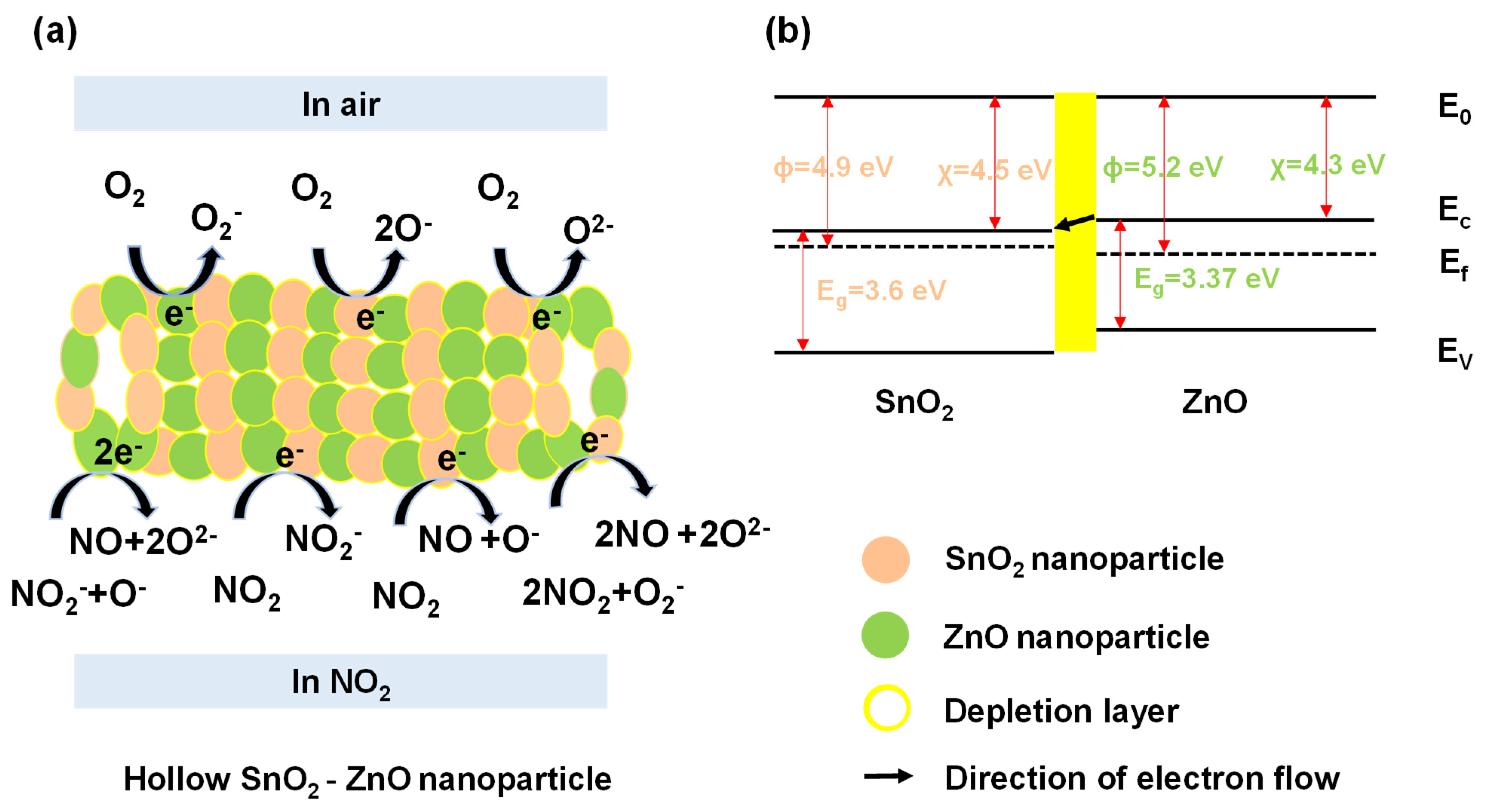 Molecules 26 06475 g009