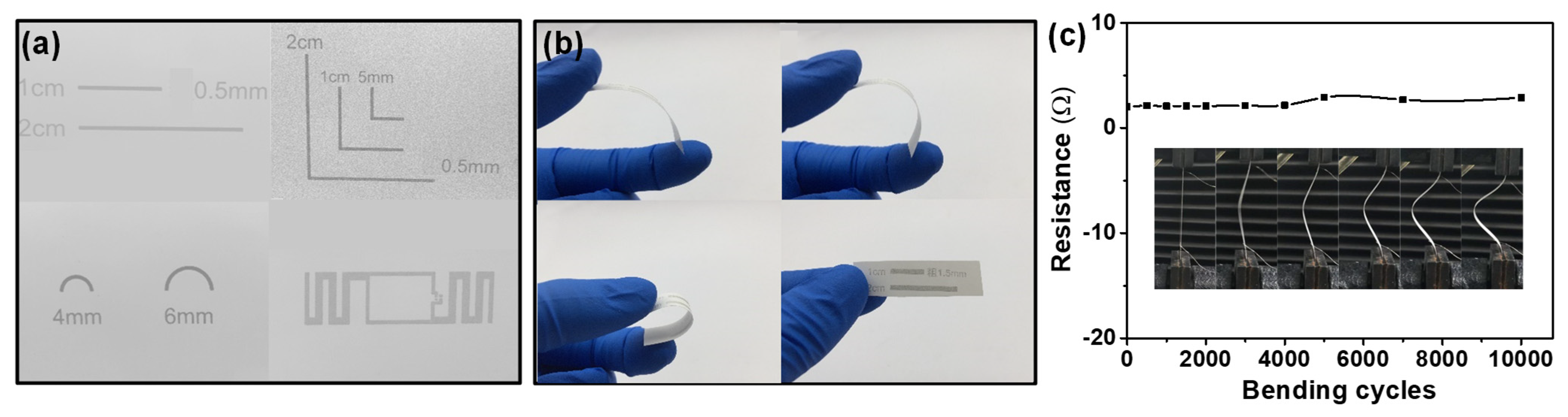 Molecules 26 06475 g010